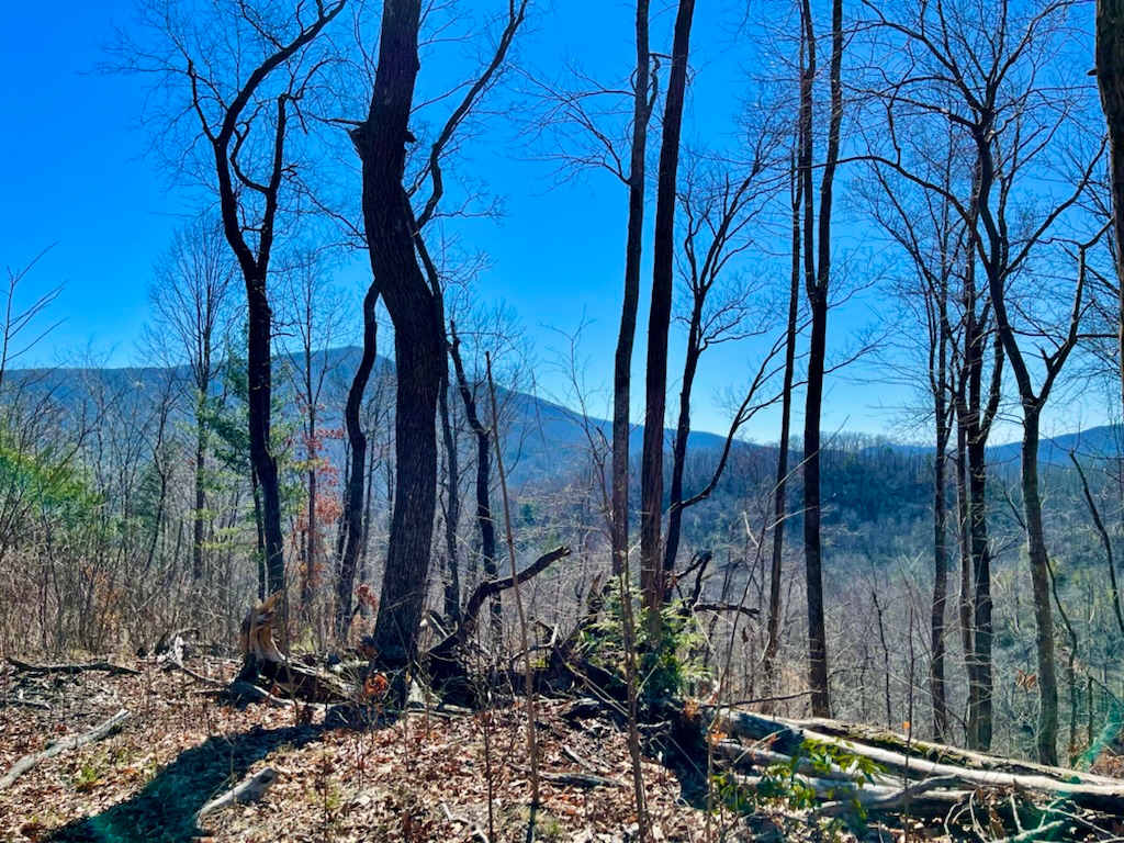 winter view from one of the peaks