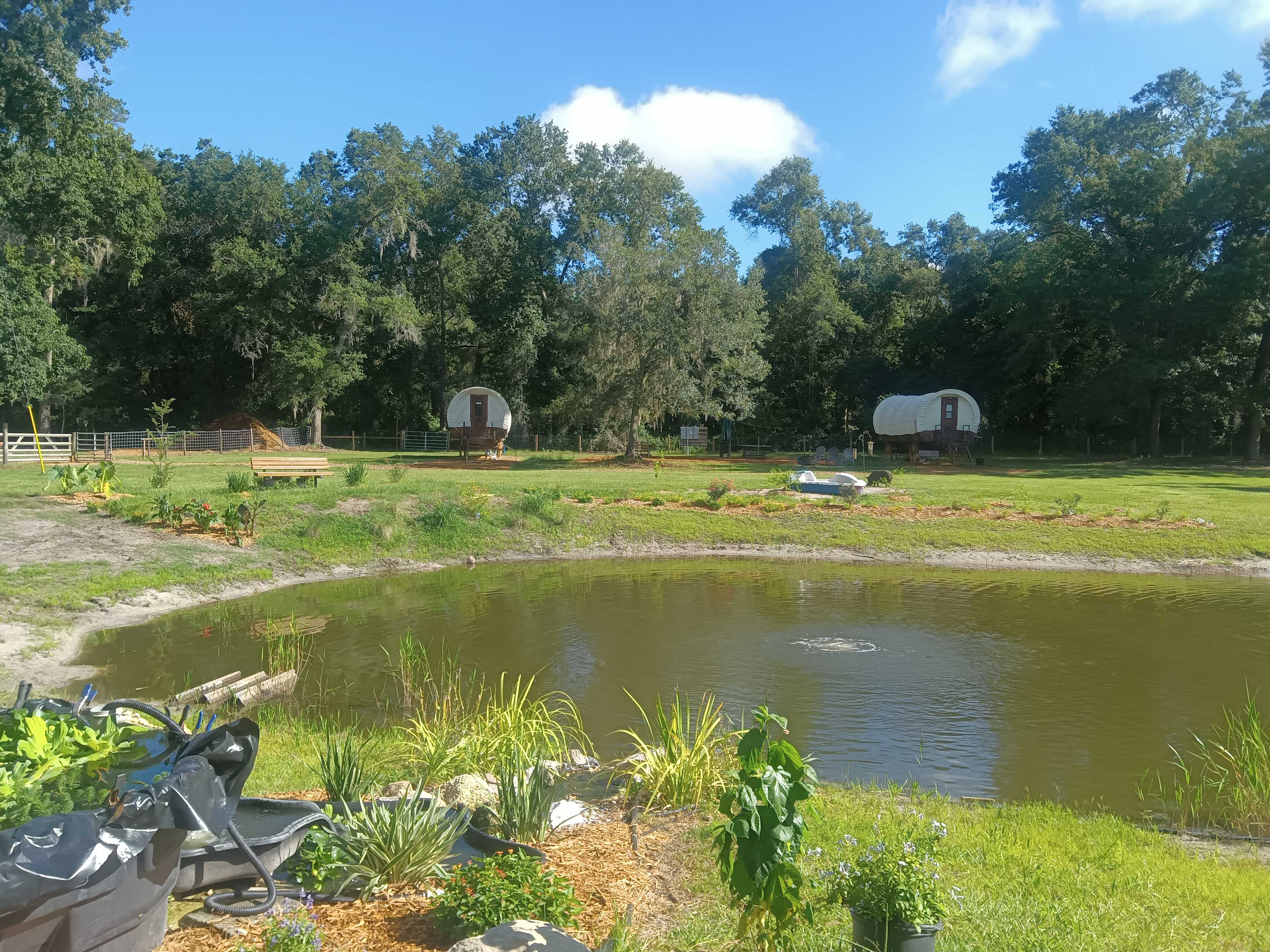 Picture of the site