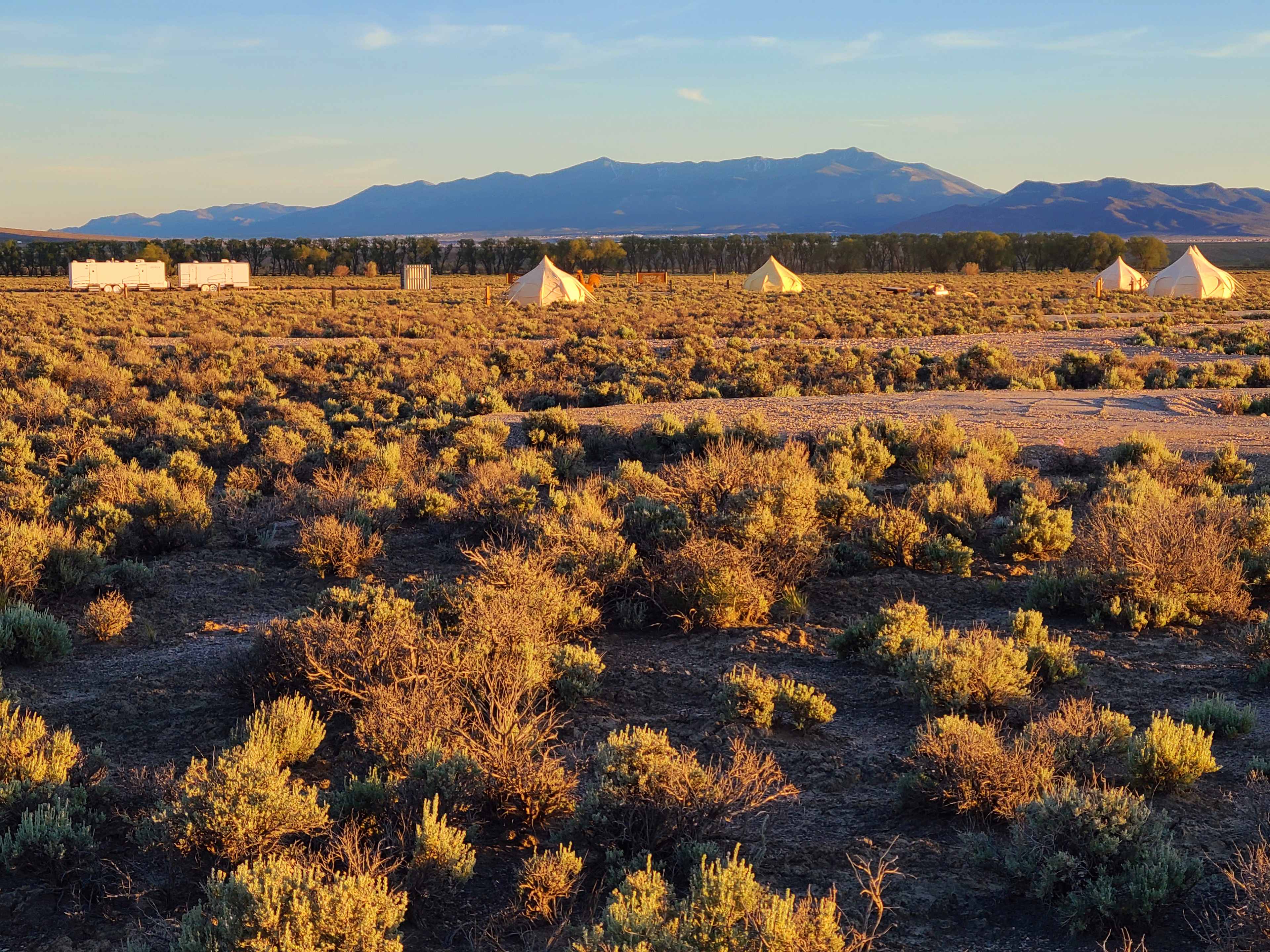 Picture of the site