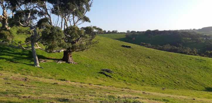 Noorla Farm (Happy Camping Ground)