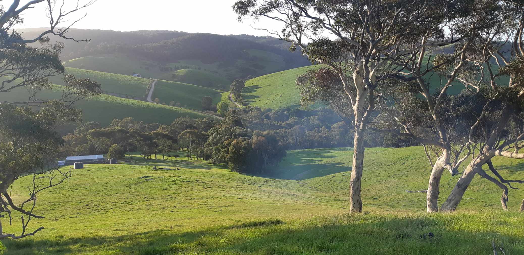 Noorla Farm (Happy Camping Ground)