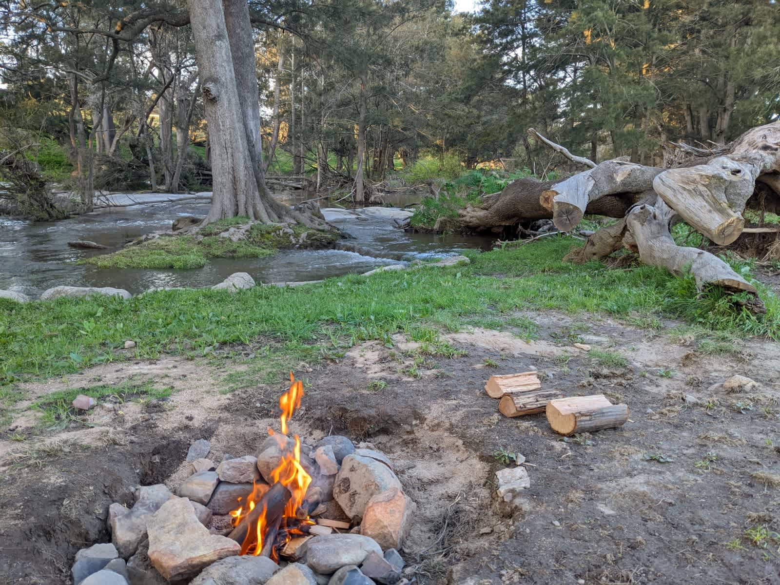 Picture of the site