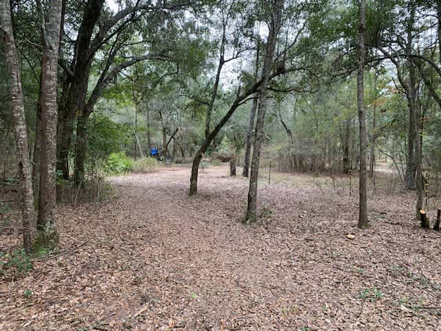 Too Many Oaks Plantation