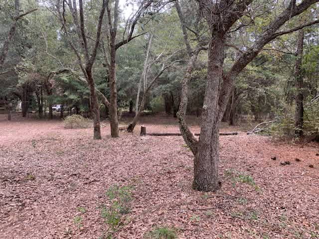 Too Many Oaks Plantation