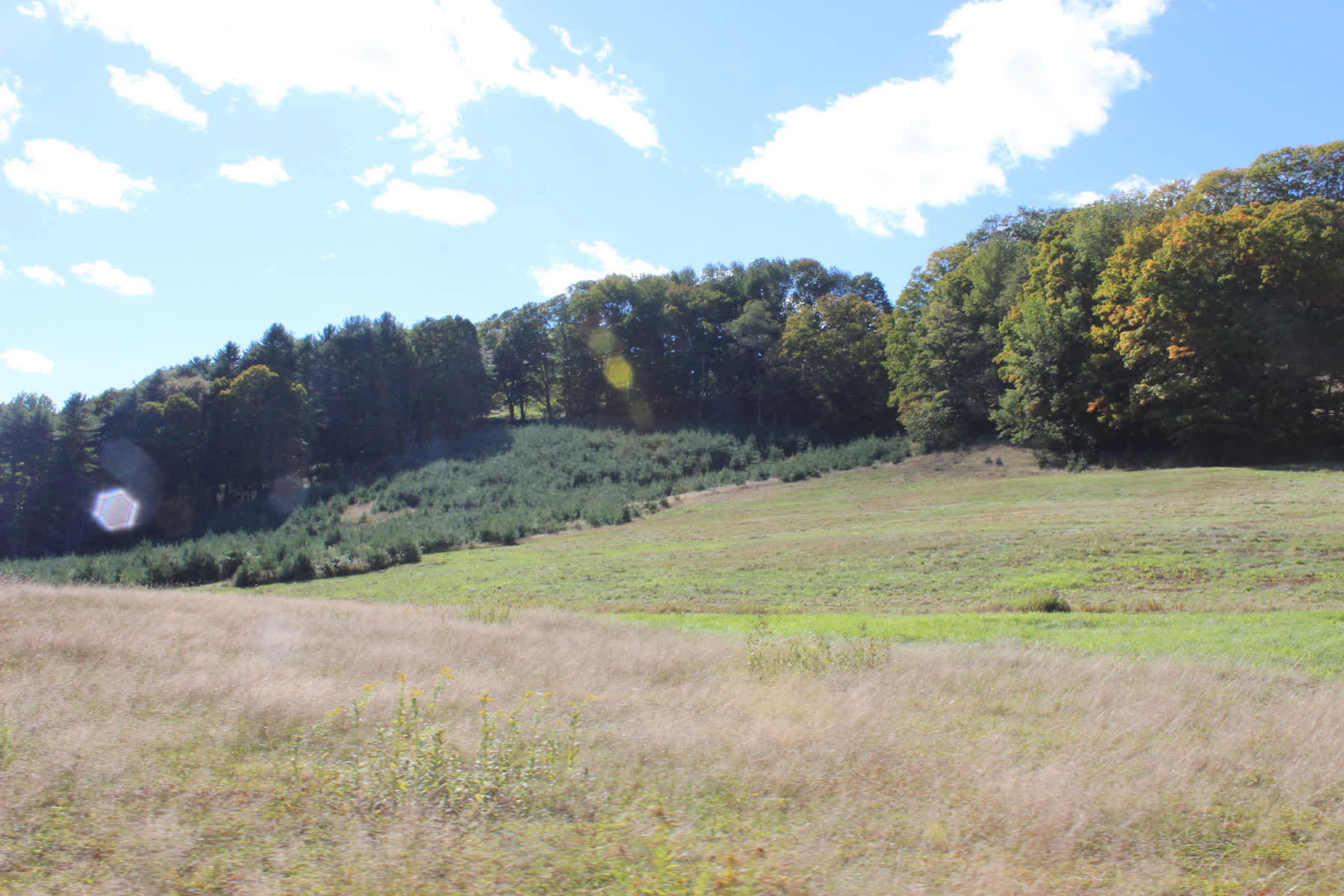 Eric R.’s Land