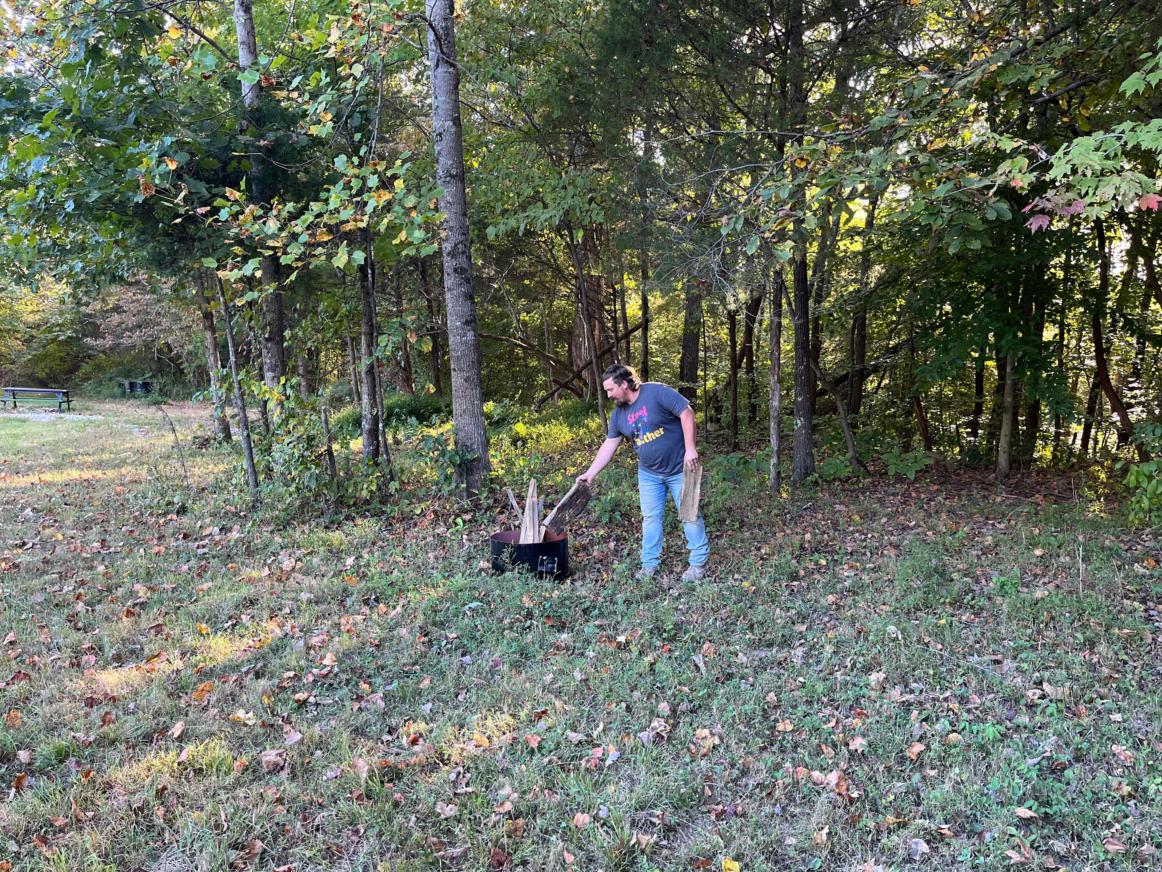 Picture of the site