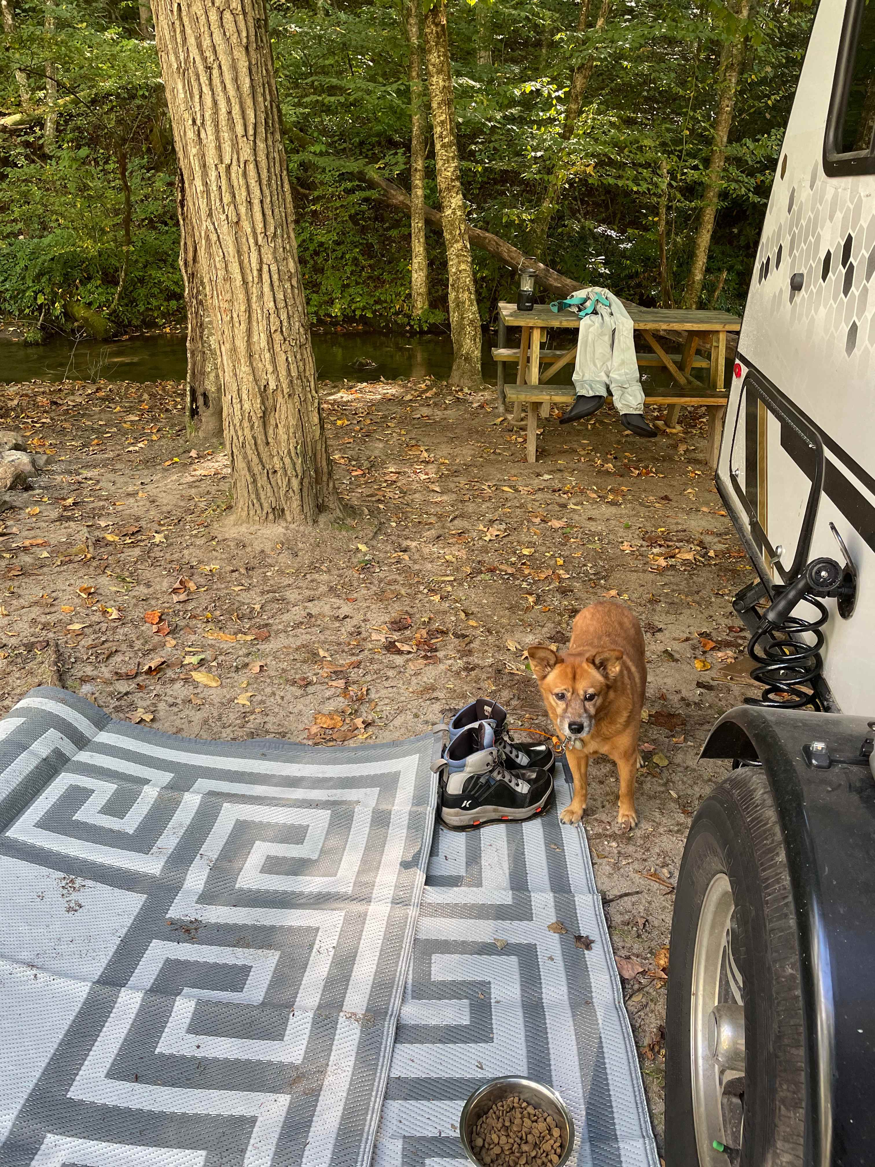 Trout Creek Campgrounds