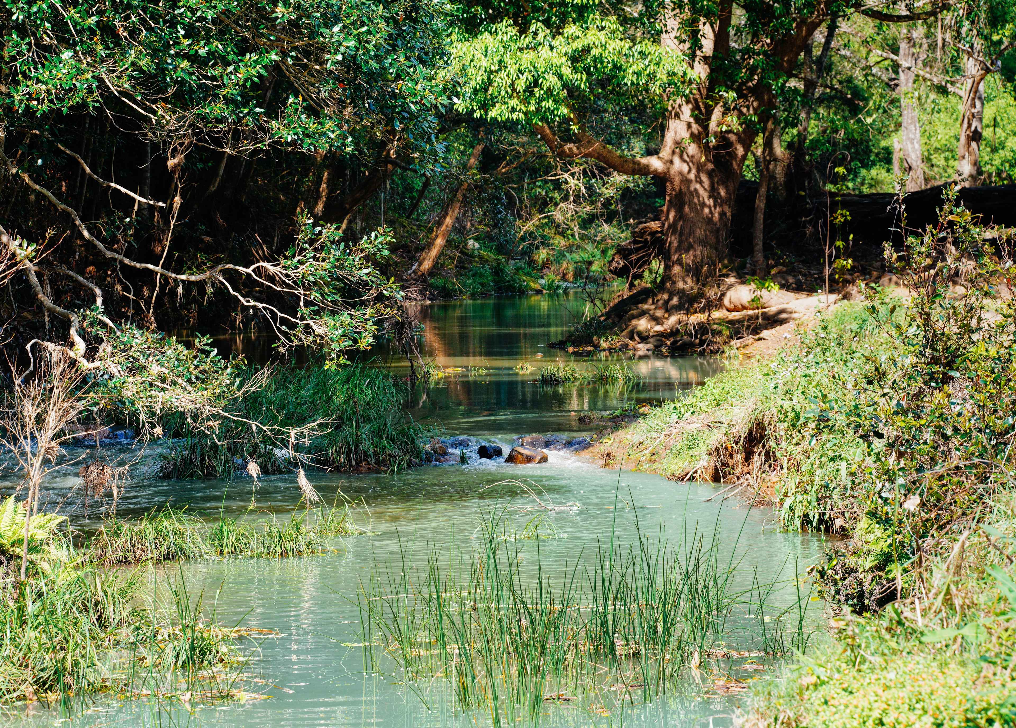 rowlands creek