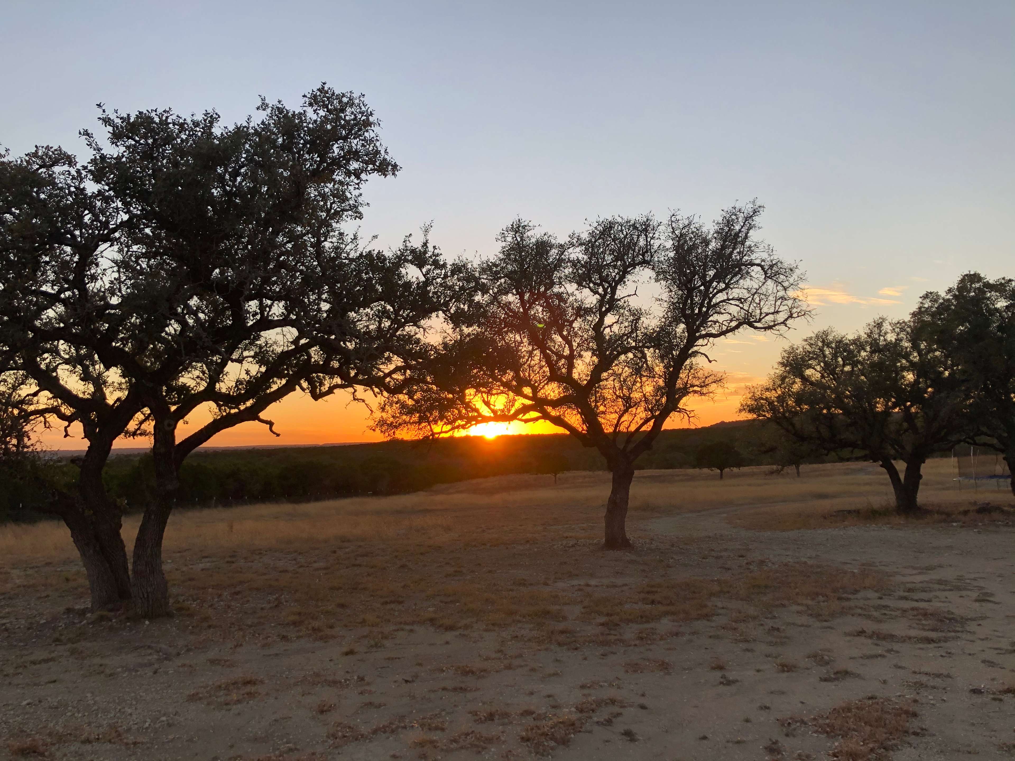 3 Tree Acres