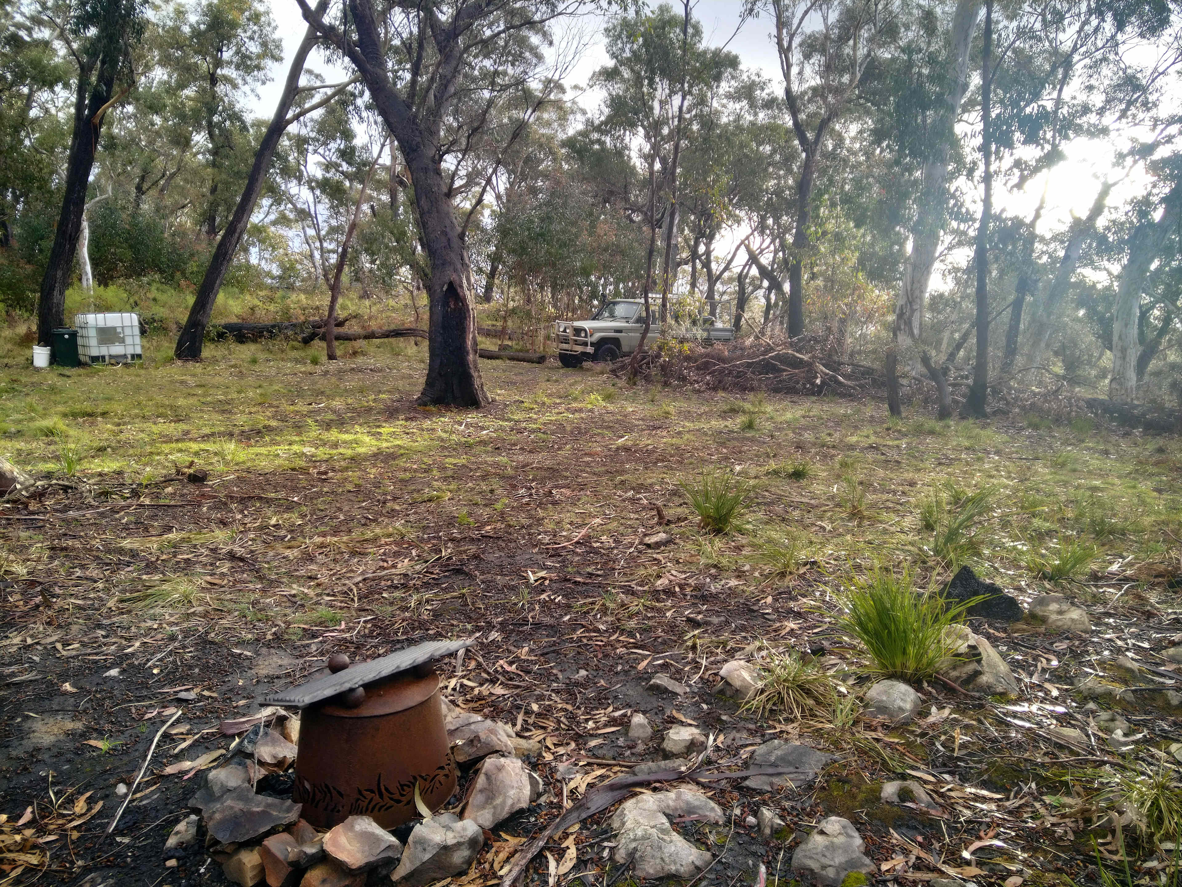 Picture of the site
