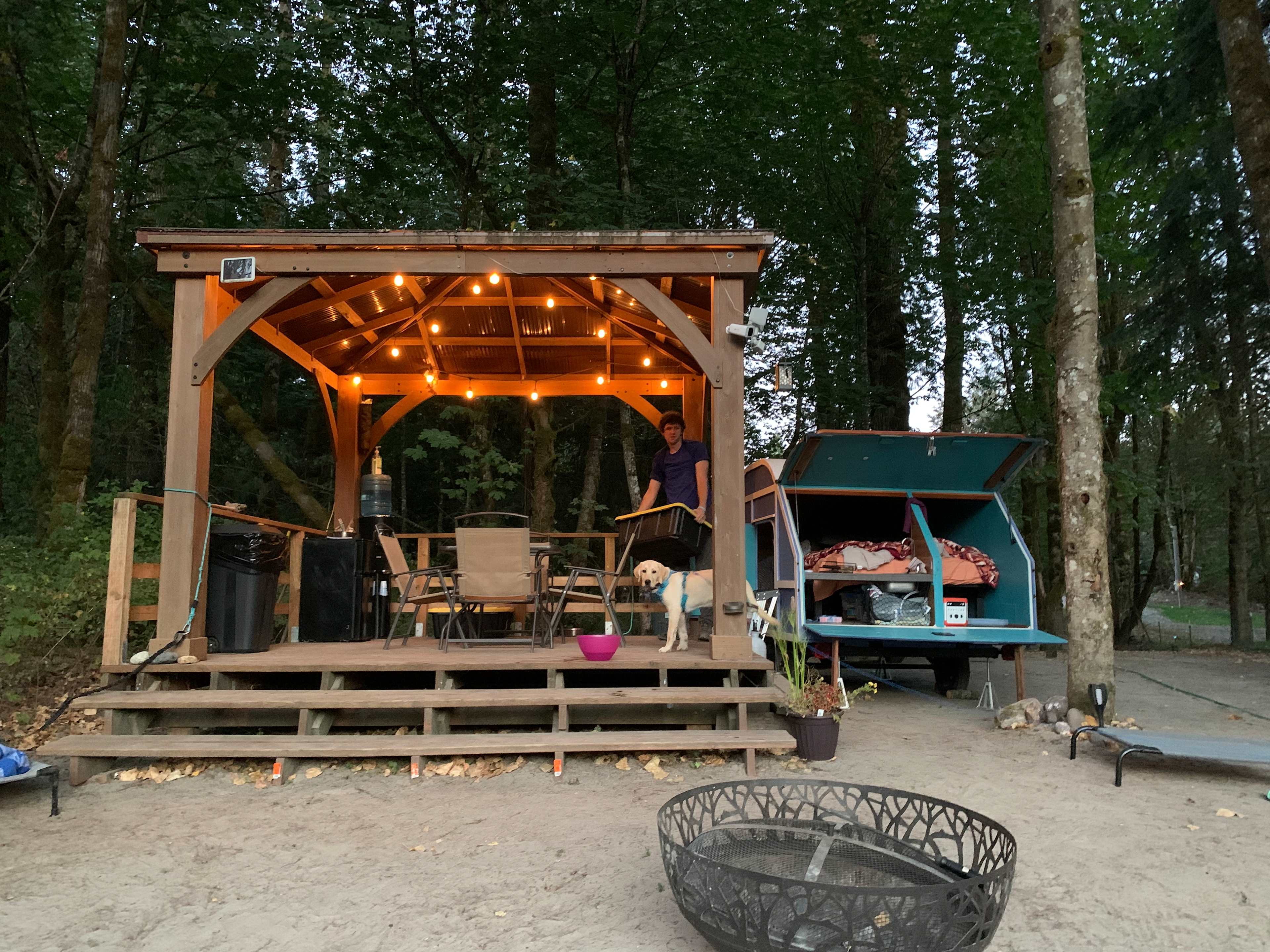 Picture of the site