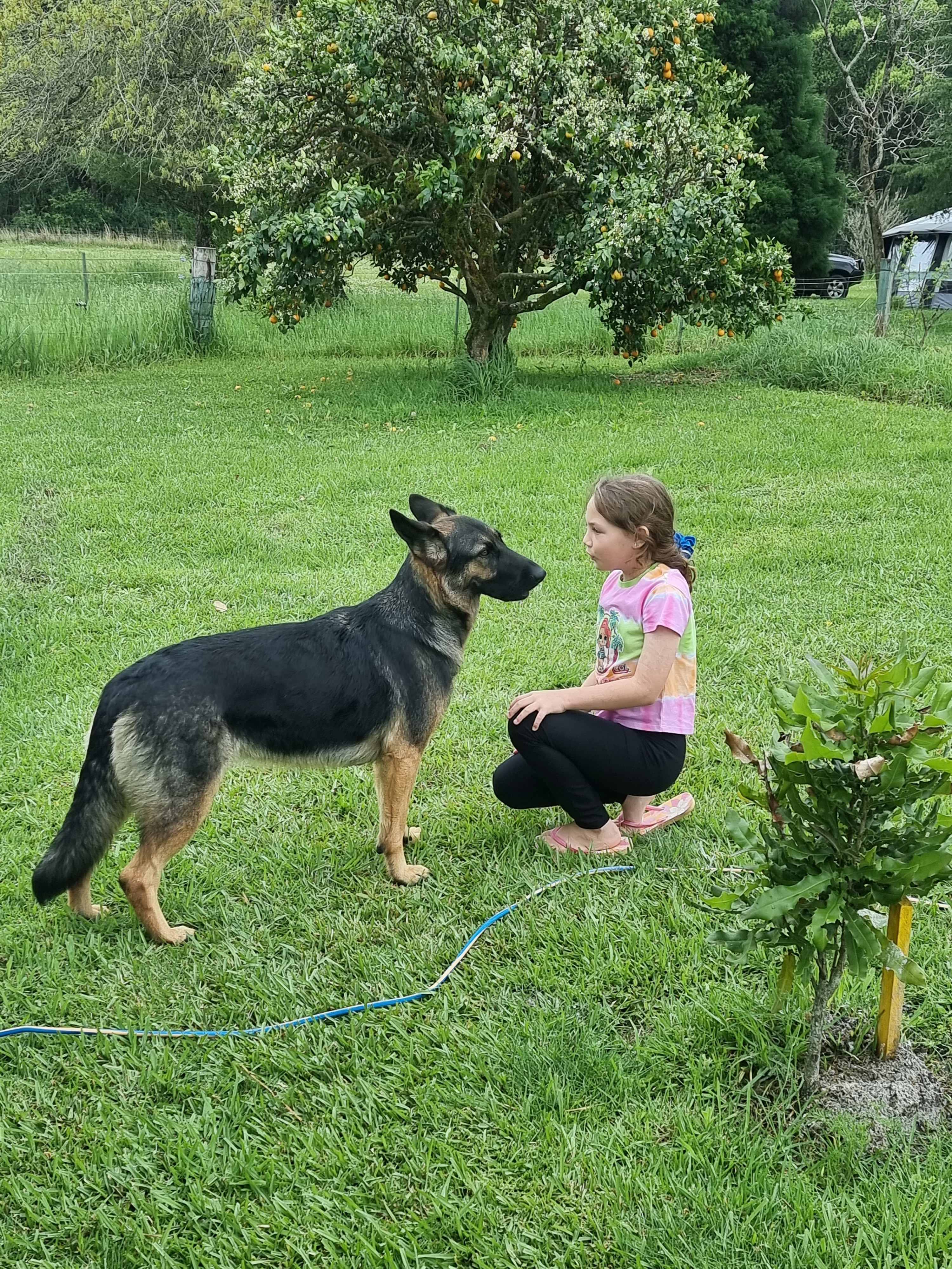 Playing with the dog