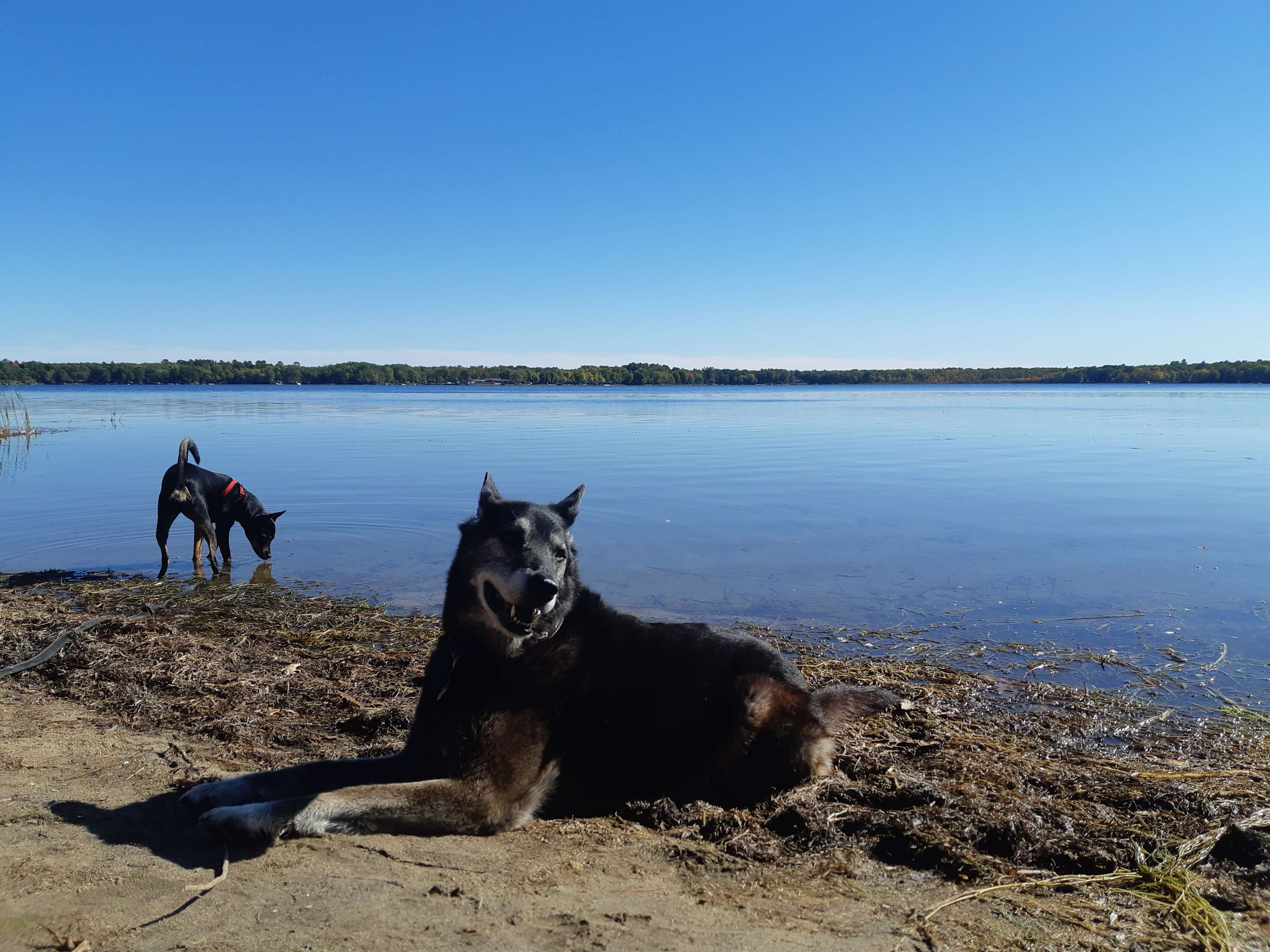 Sparrow Lake Camp
