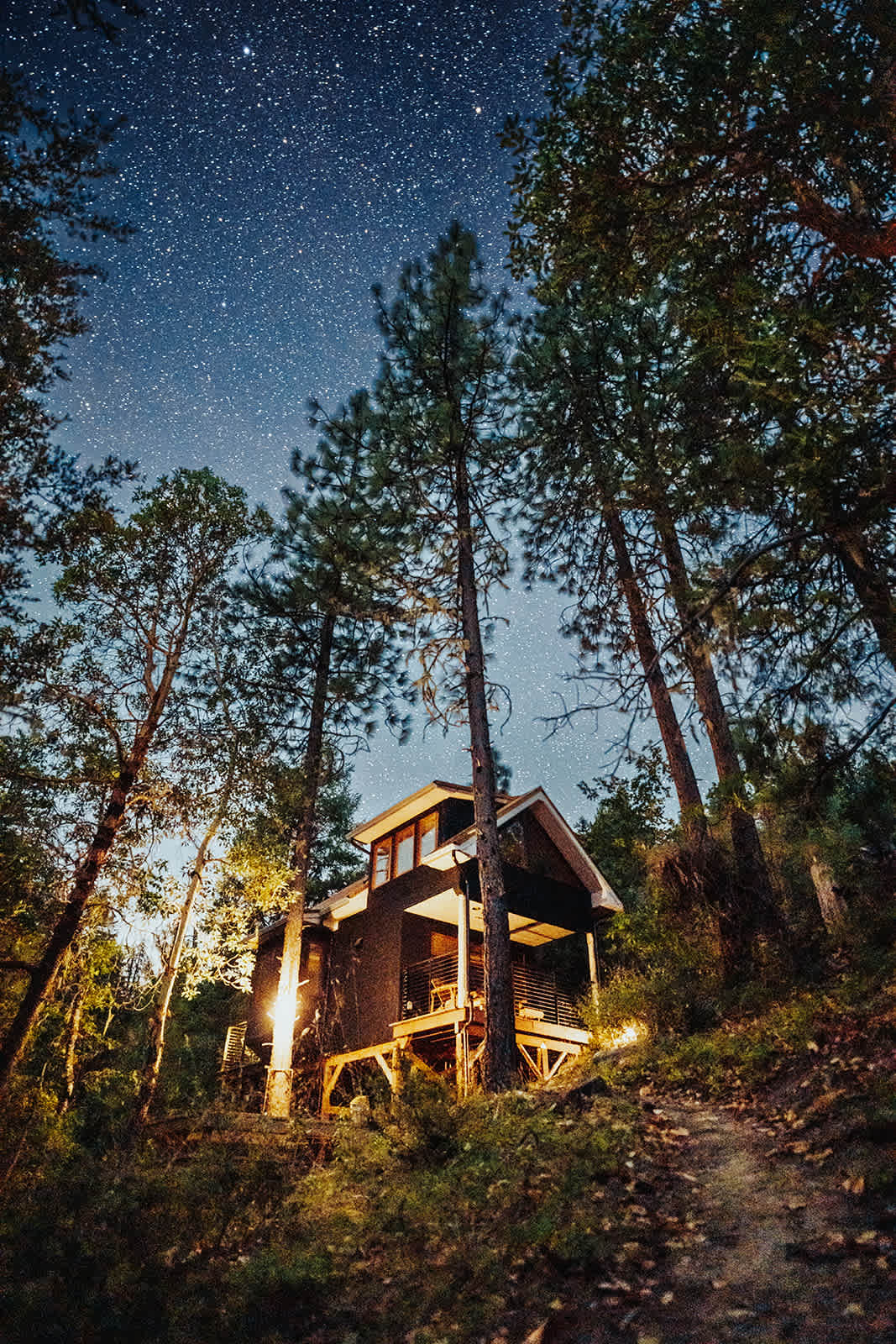 Tree Top Studio