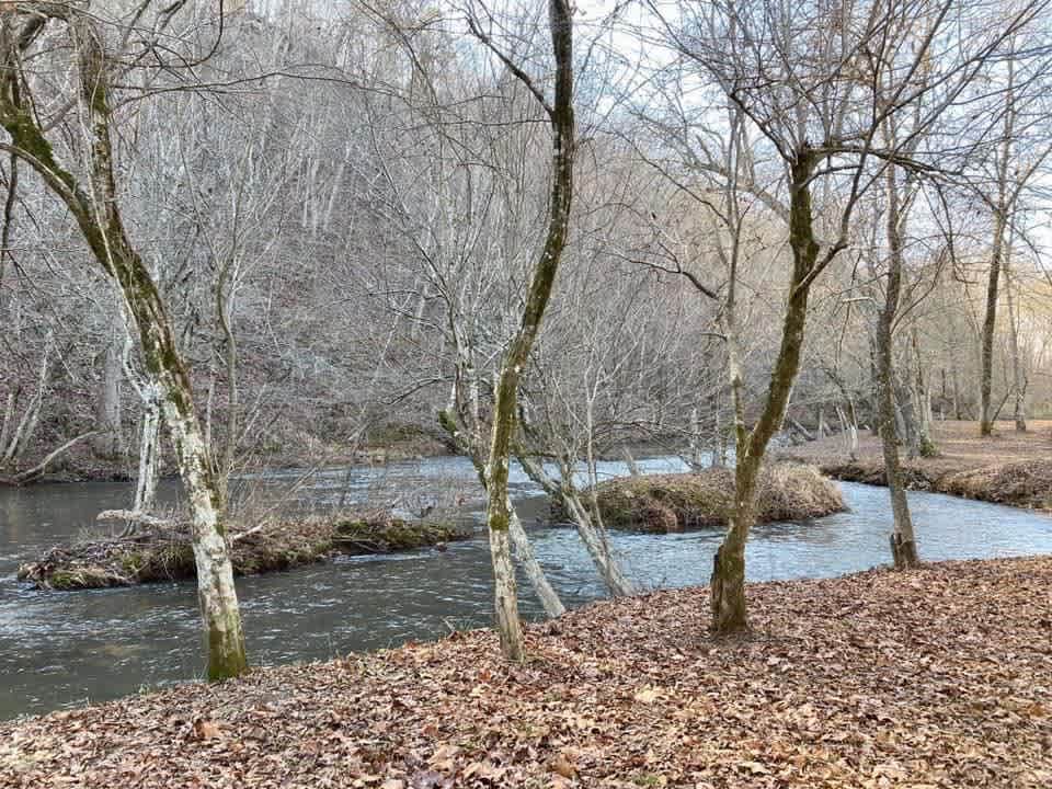 Private 14 acre Creekside Cabin