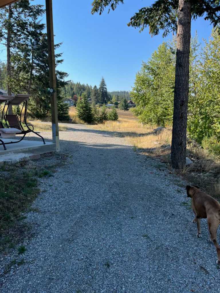 The swing is available for guest use! Featuring our dog Leonard, who will not be onsite :)