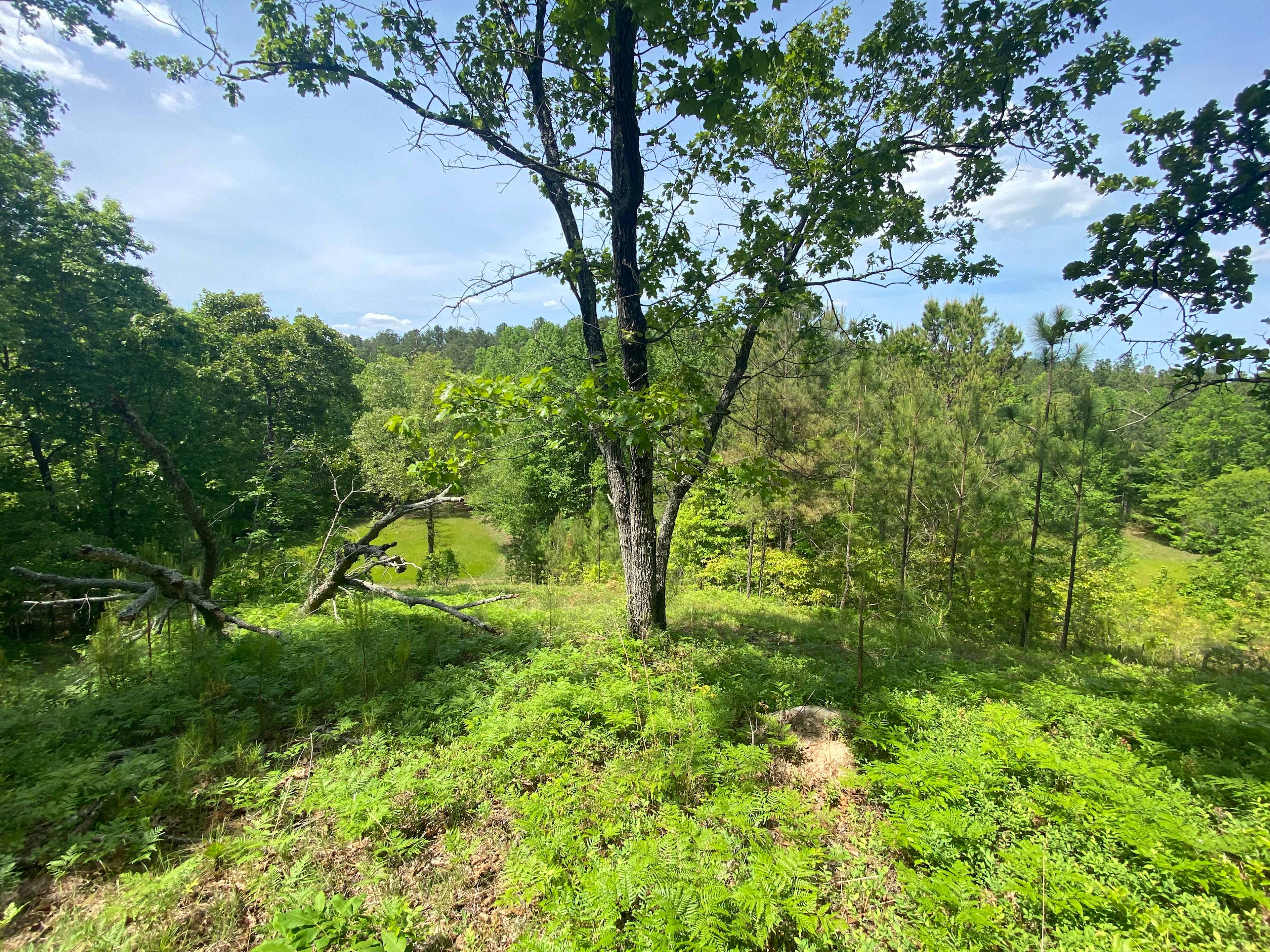 Star Point Reserve