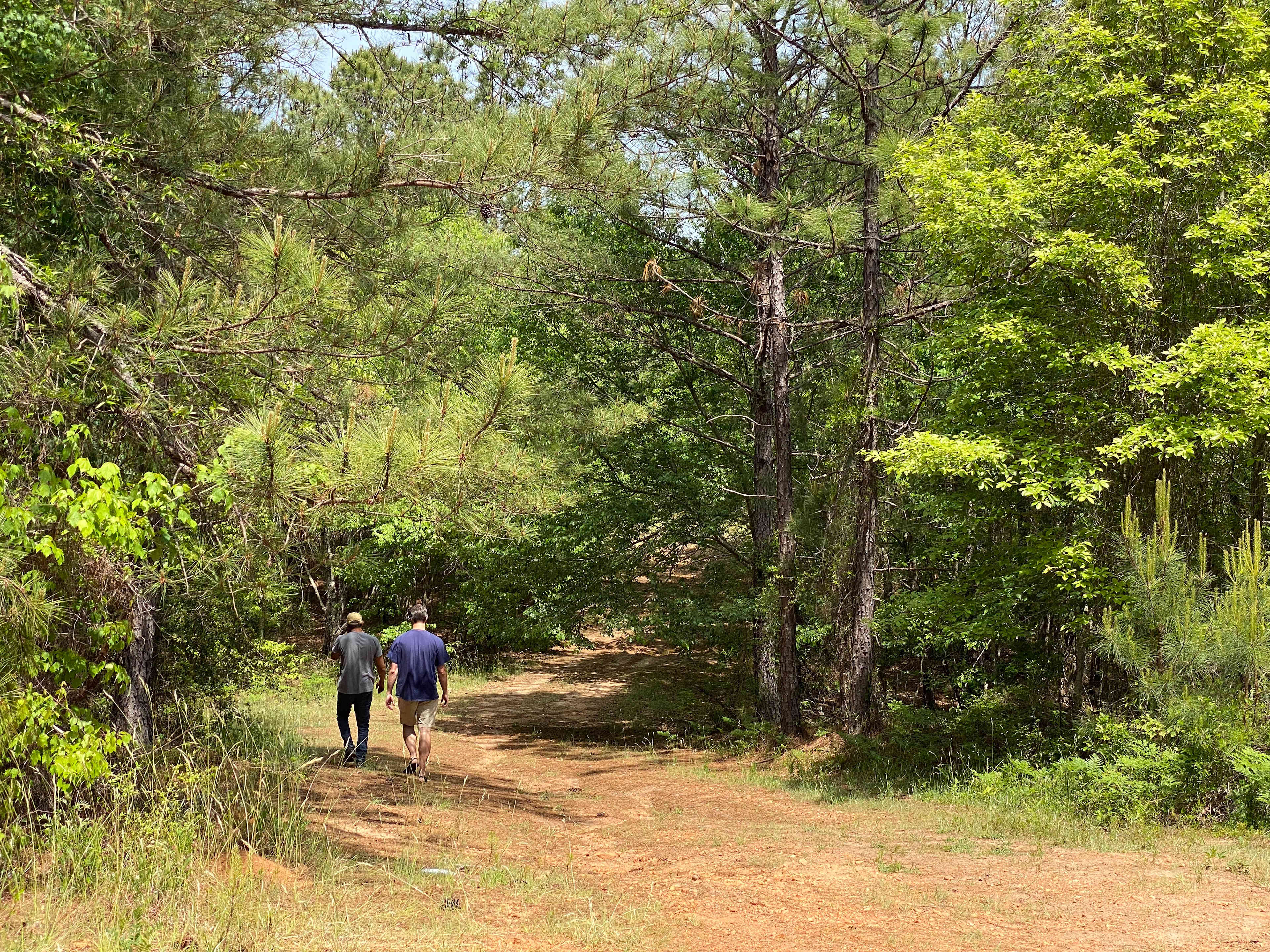 Star Point Reserve