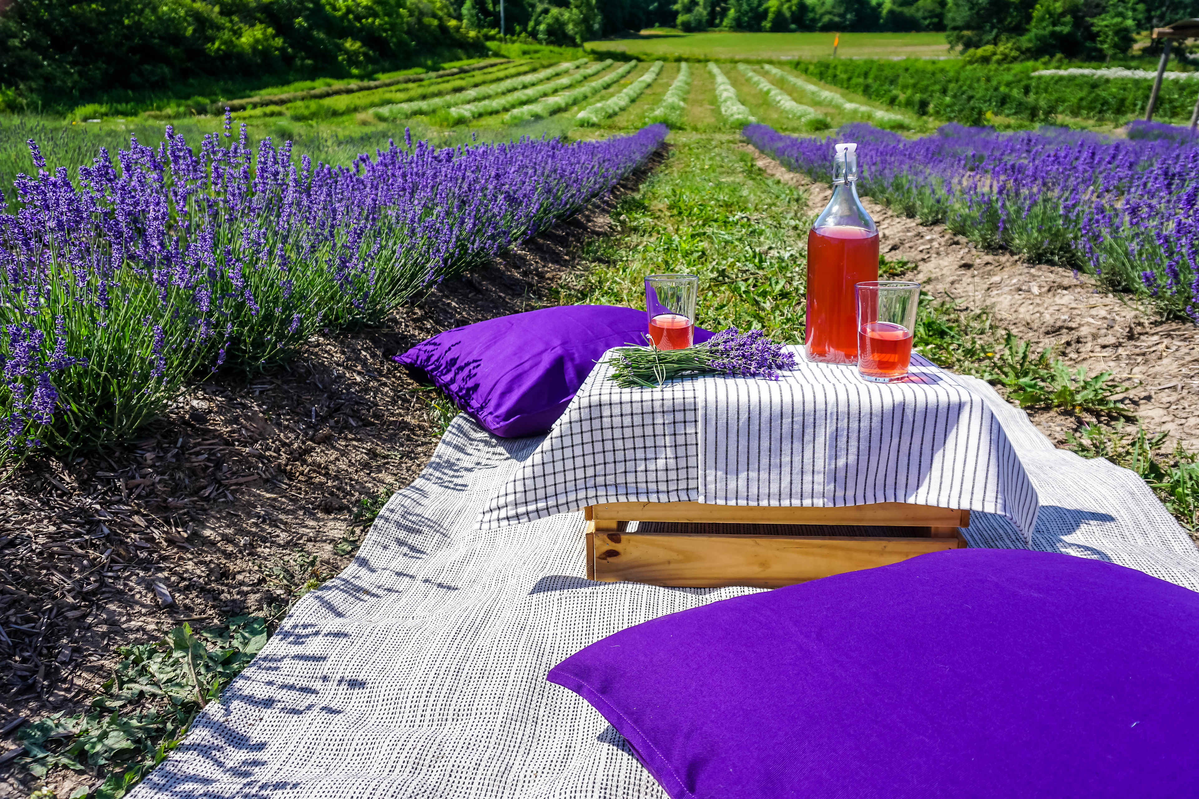 Mingle Hill Farm