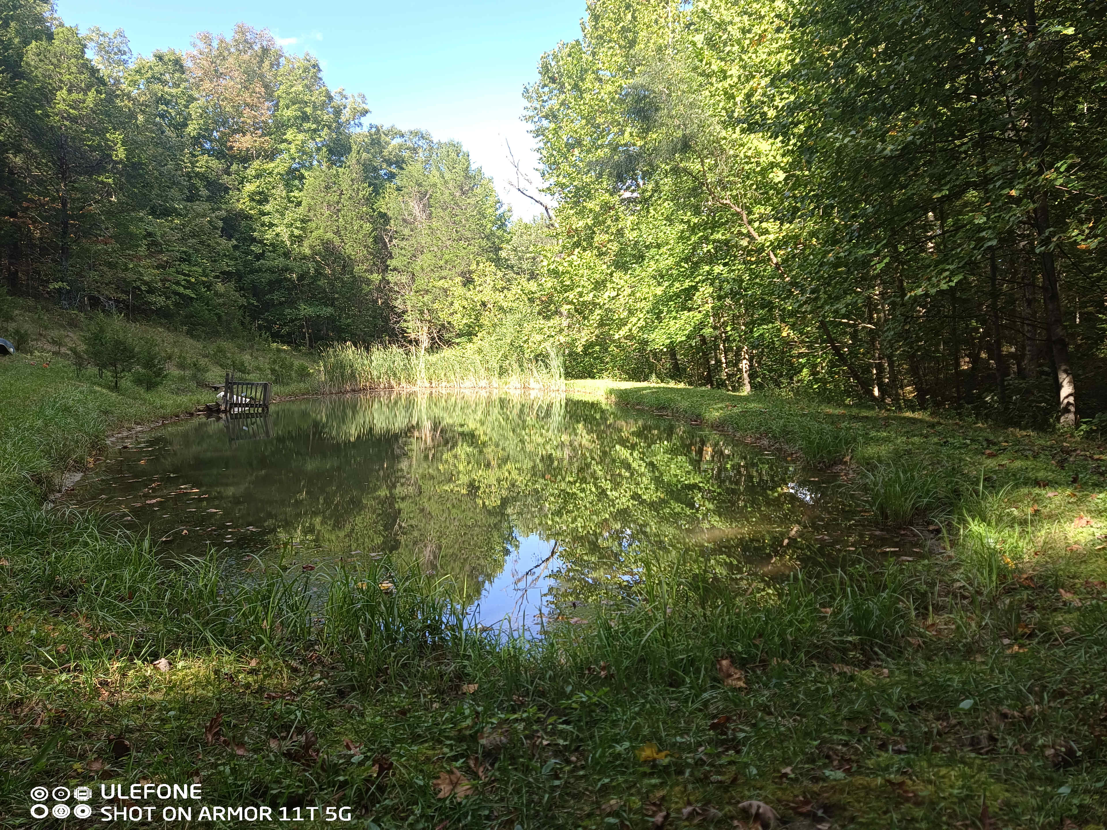 Bear Pond
