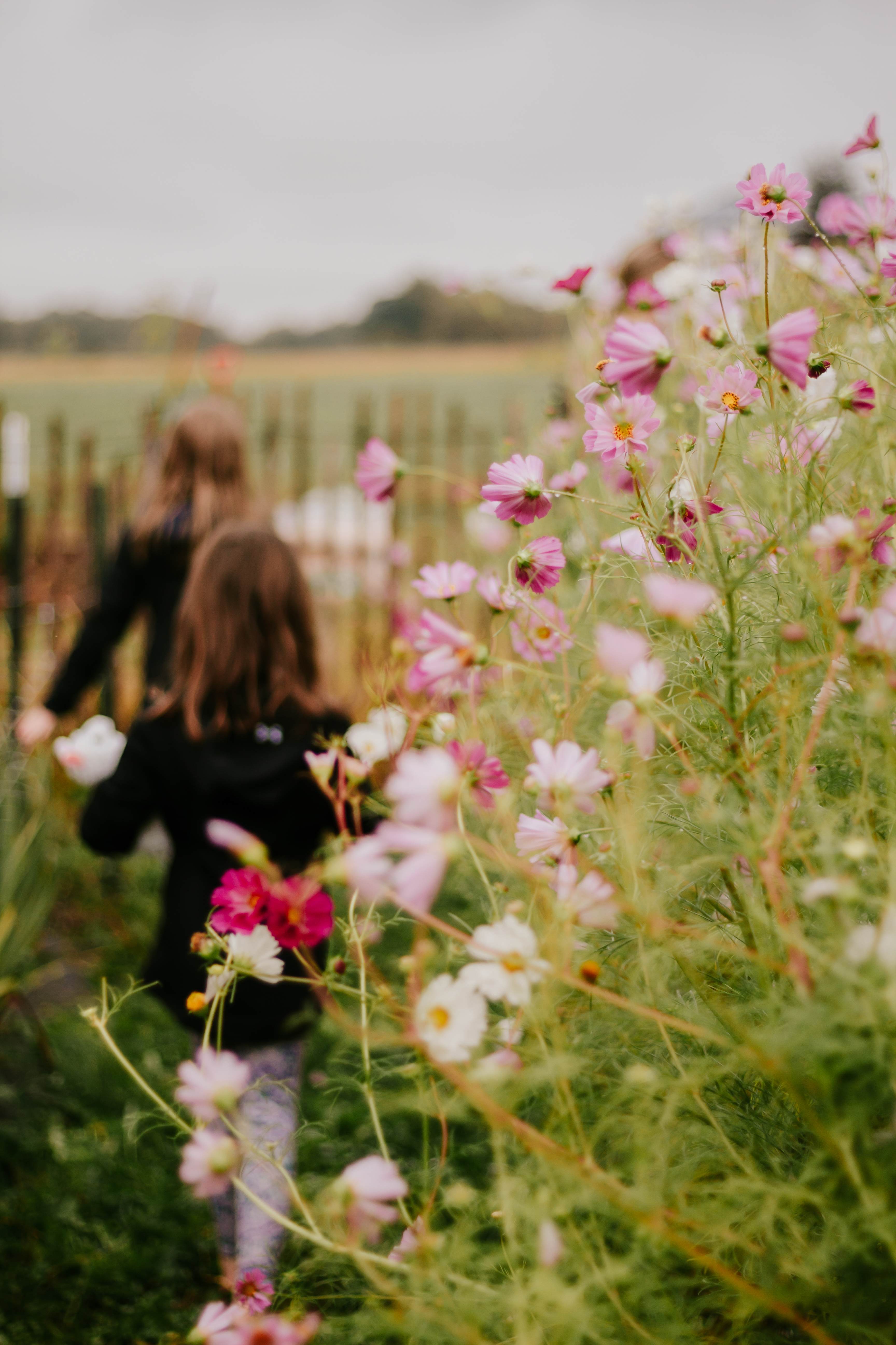 Evergreen Oasis Farm