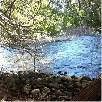 Styx River