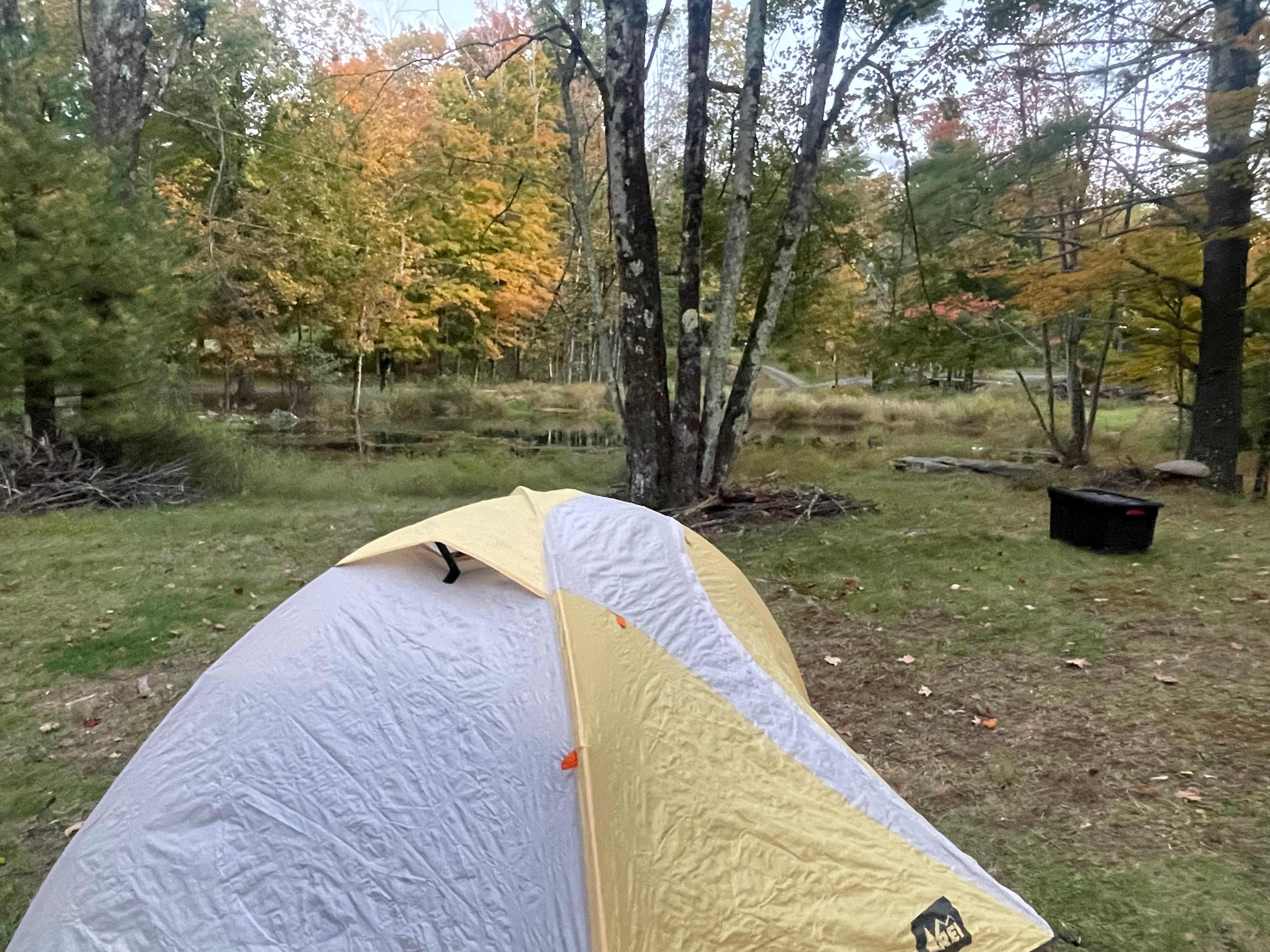 Woodstock Meadows - The Knoll