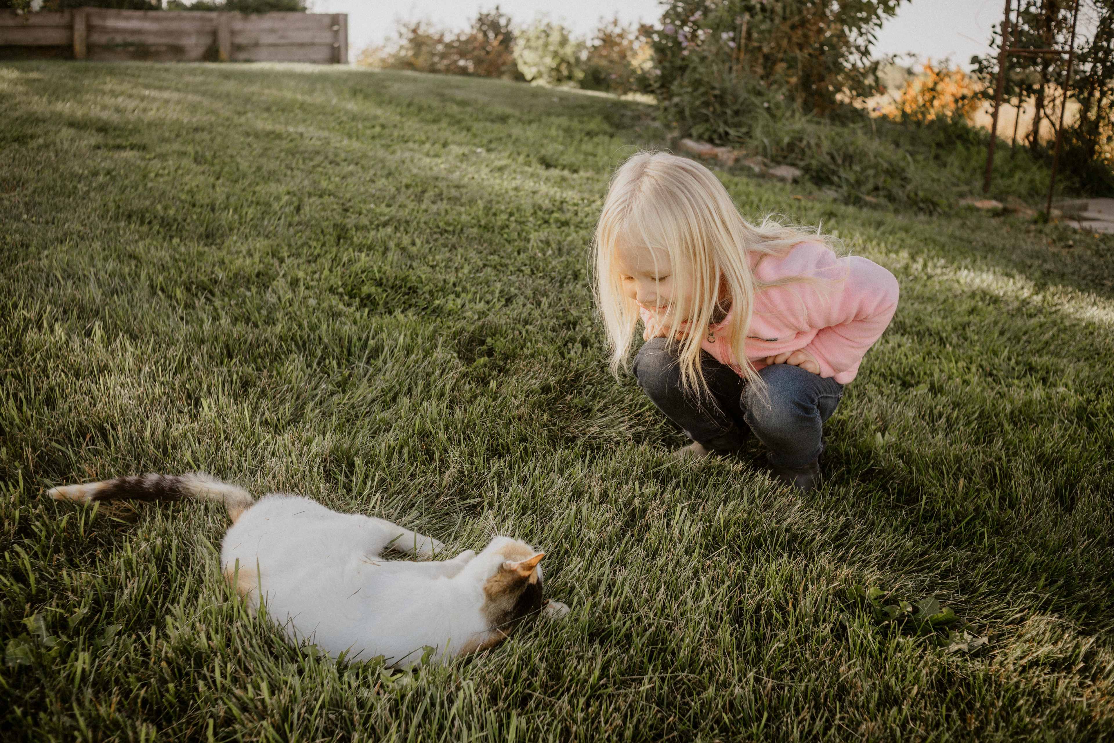 Our daughter loved the cats! 