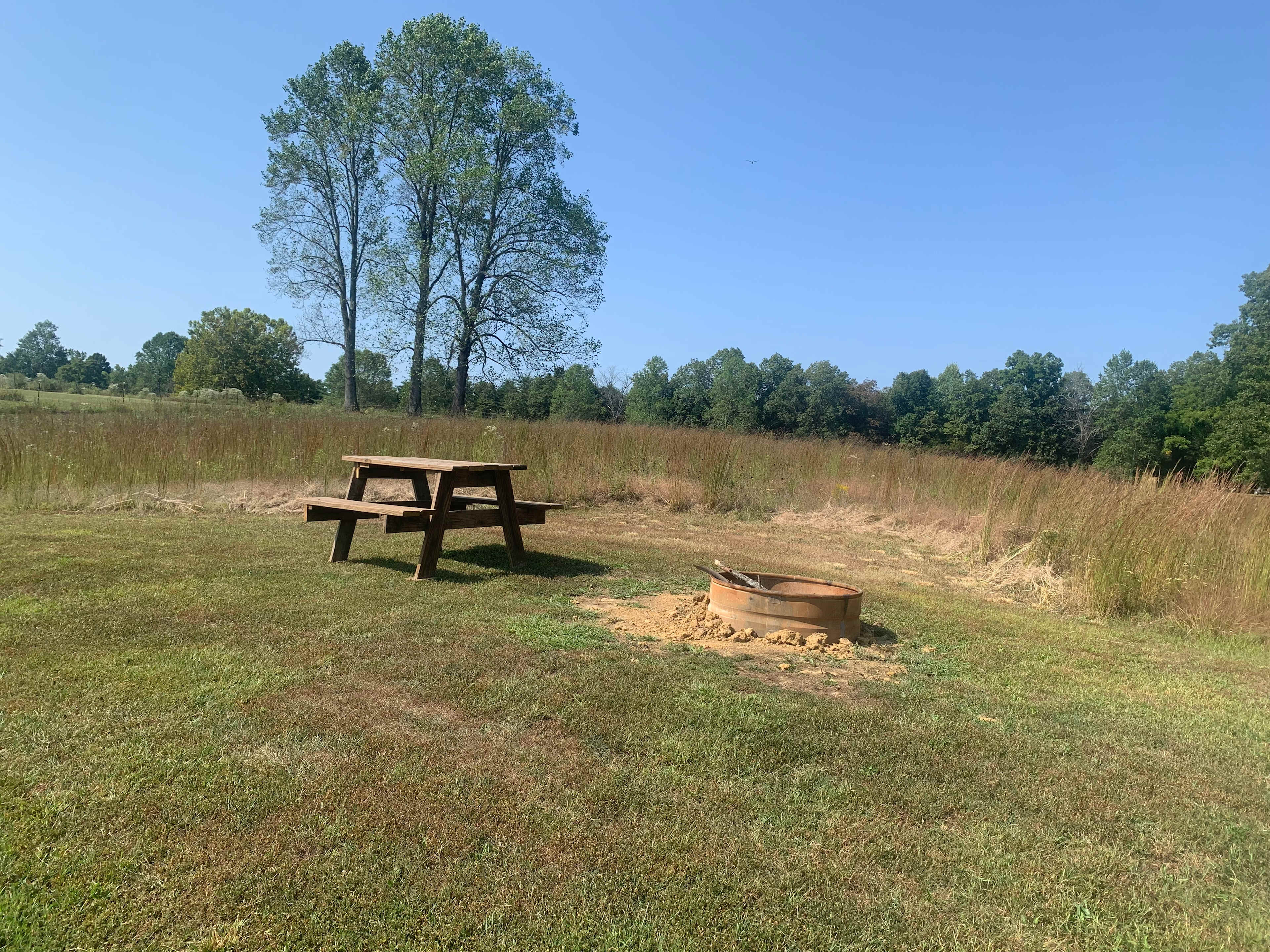 Picture of the site