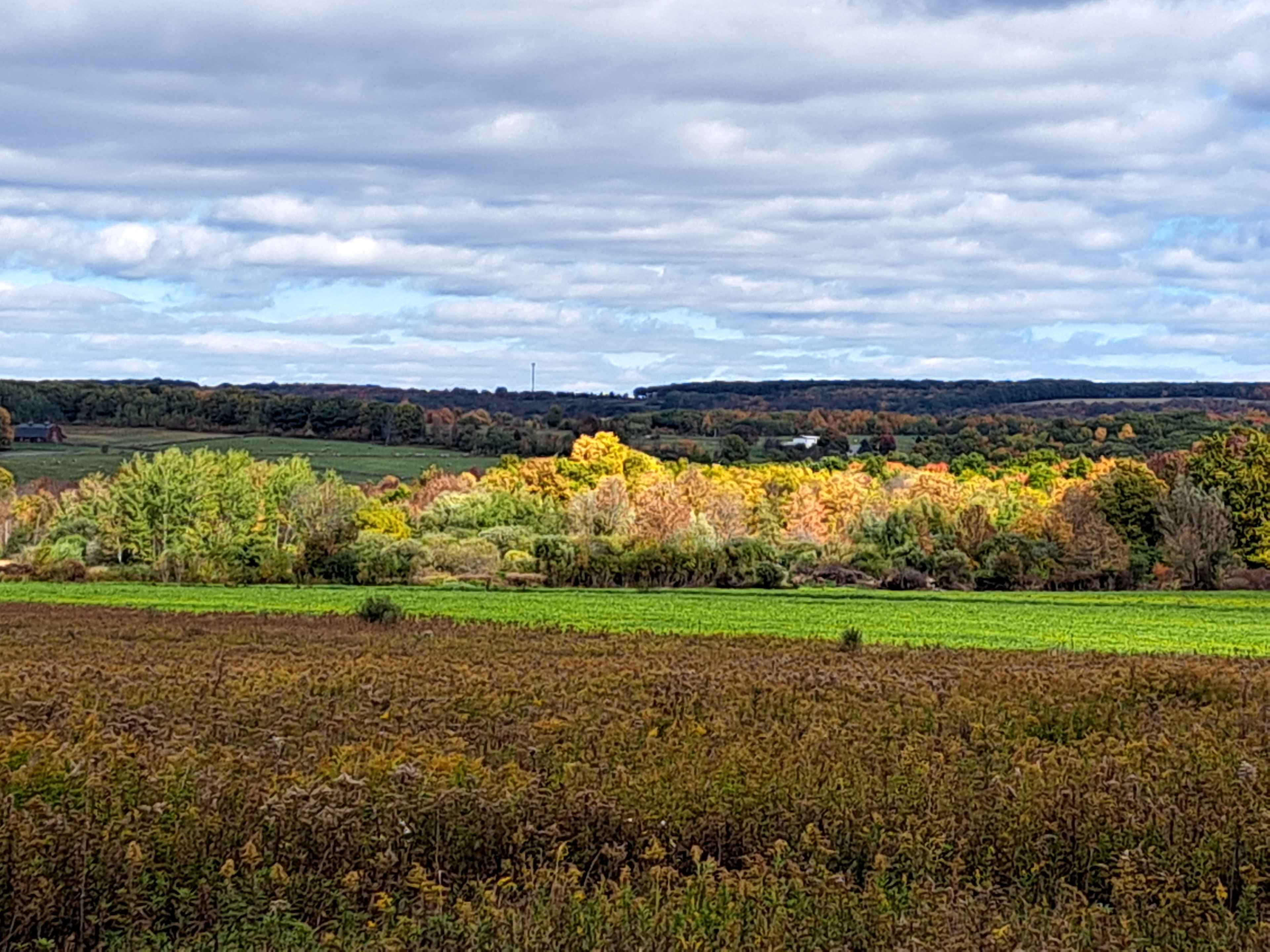 Beacon of Light Farms