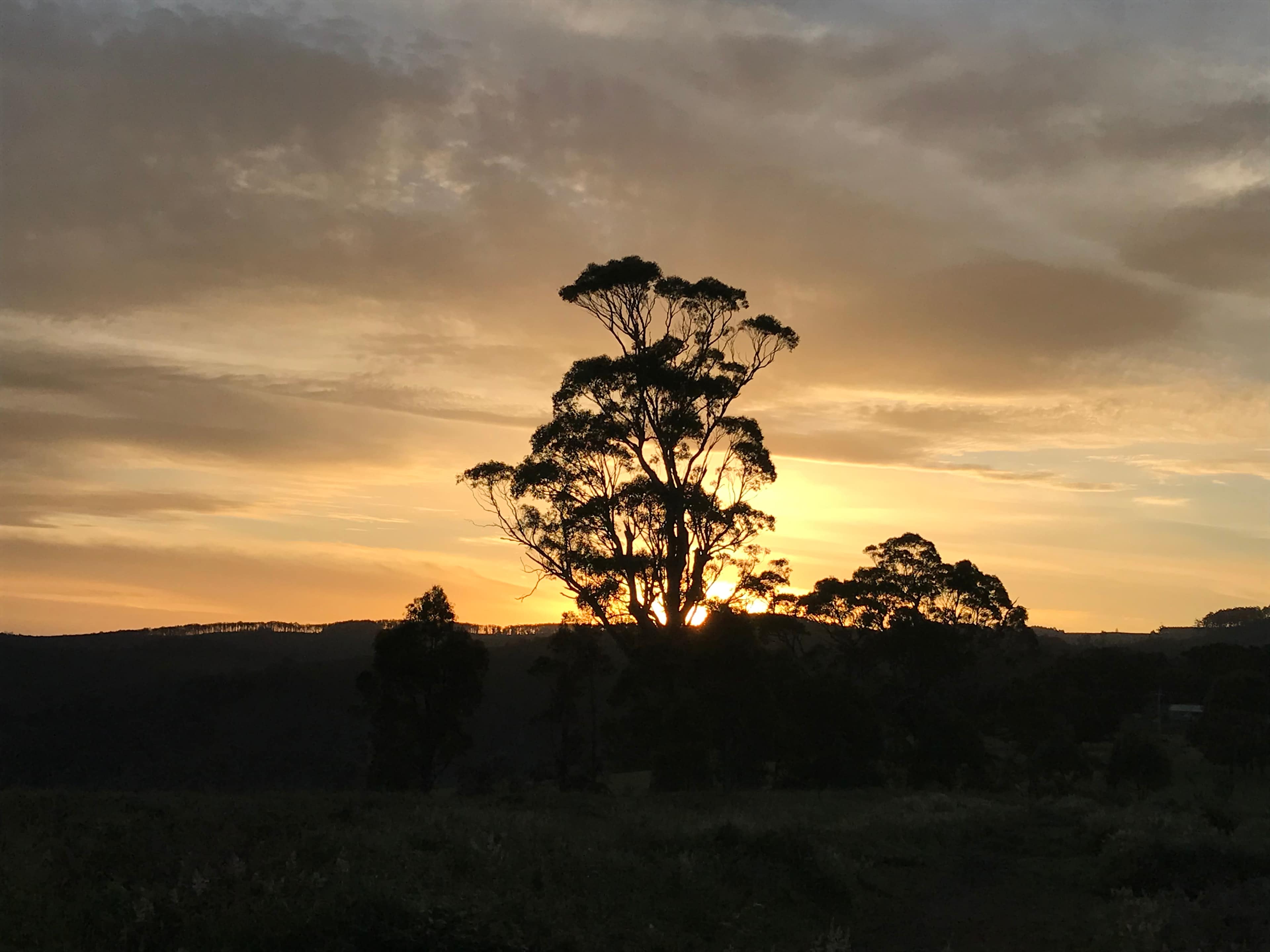 Serenity Hill Camp Grounds