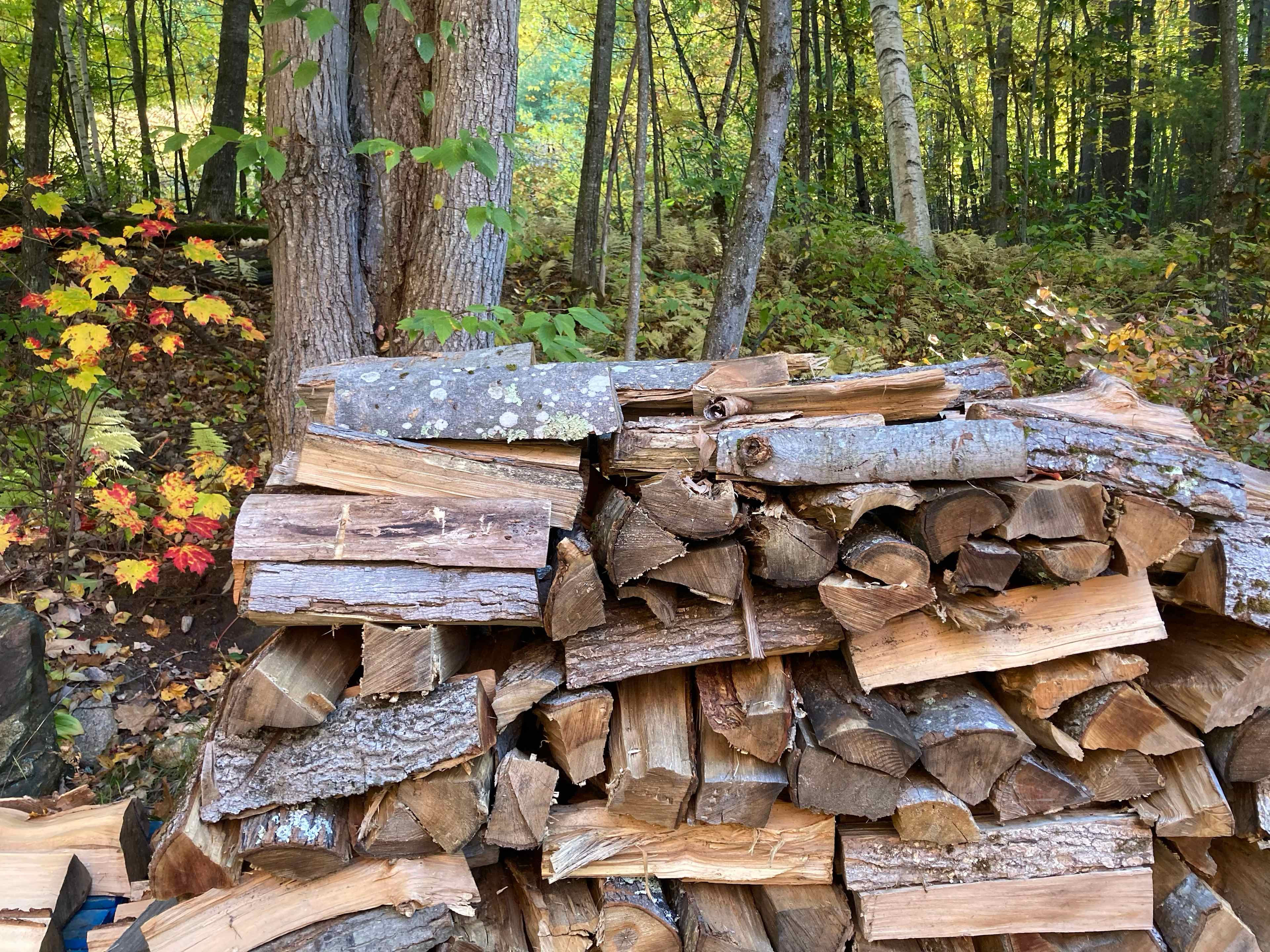 Firewood for purchase. 