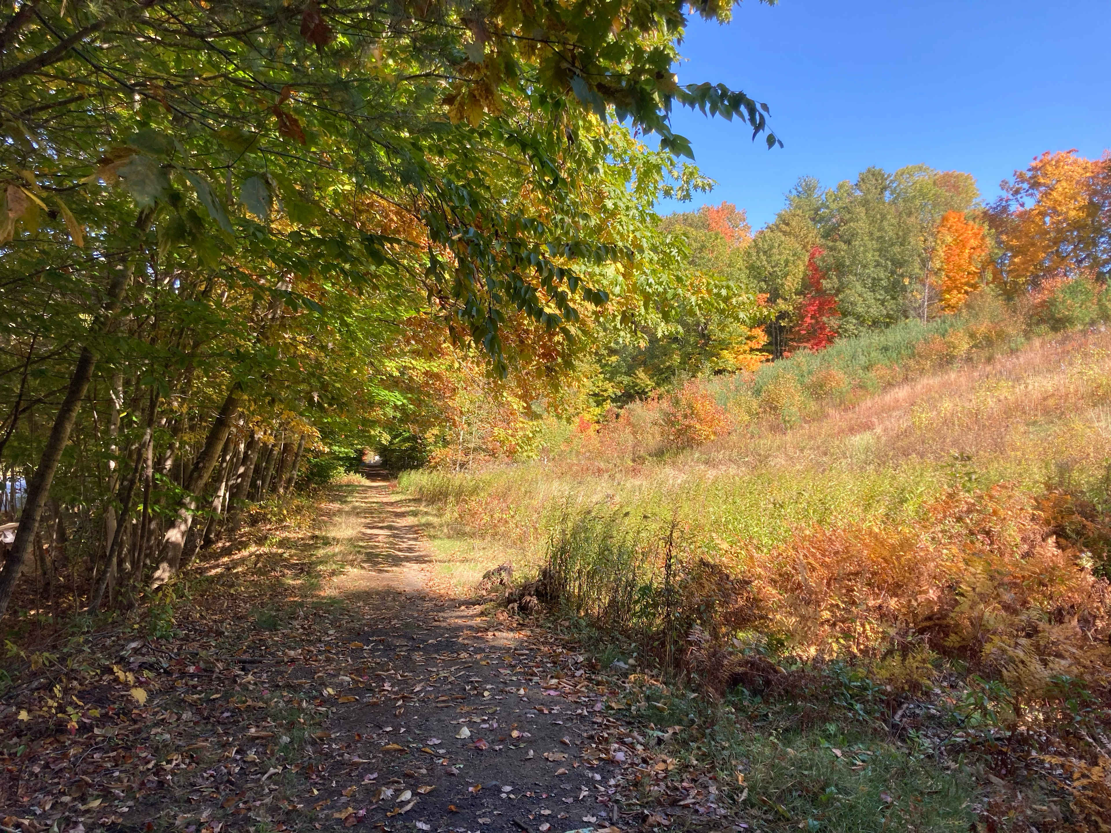 Autumn rail trail views. 