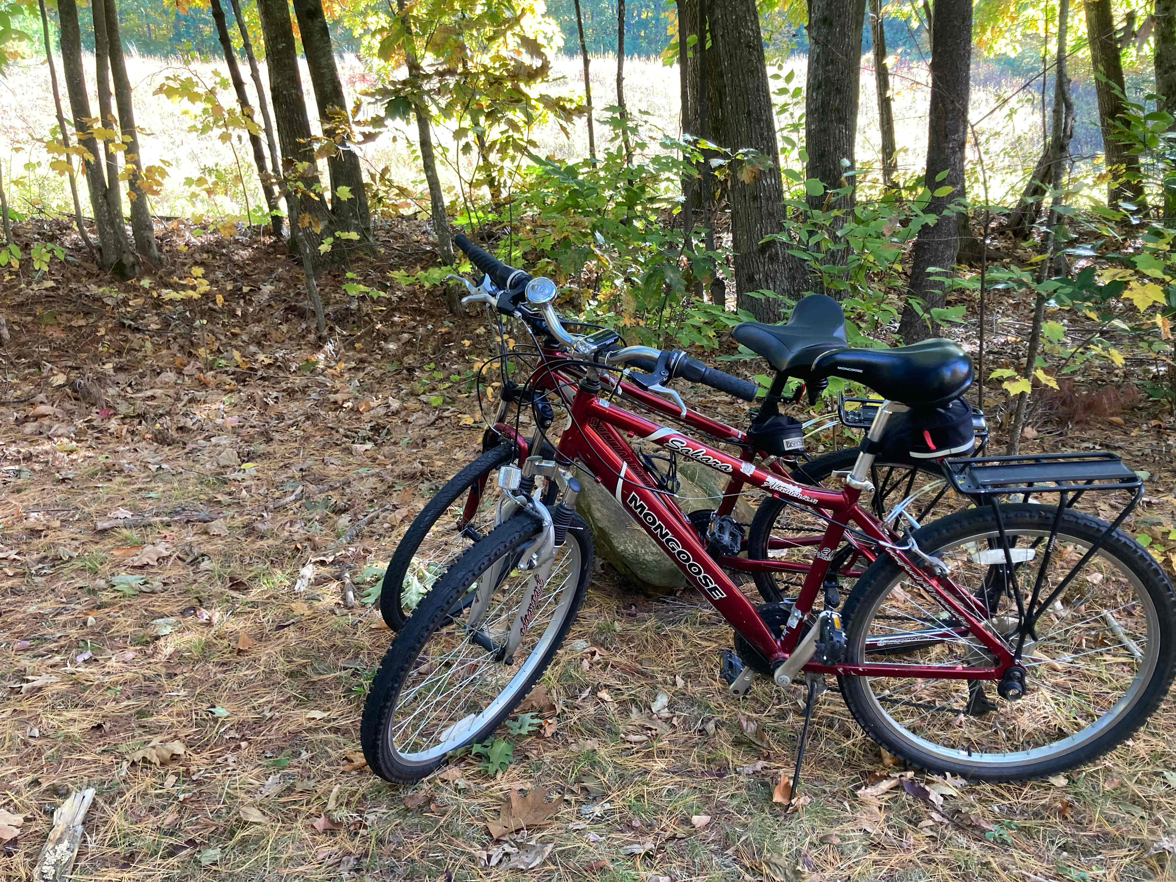 Bikes for rent or bring your own. 