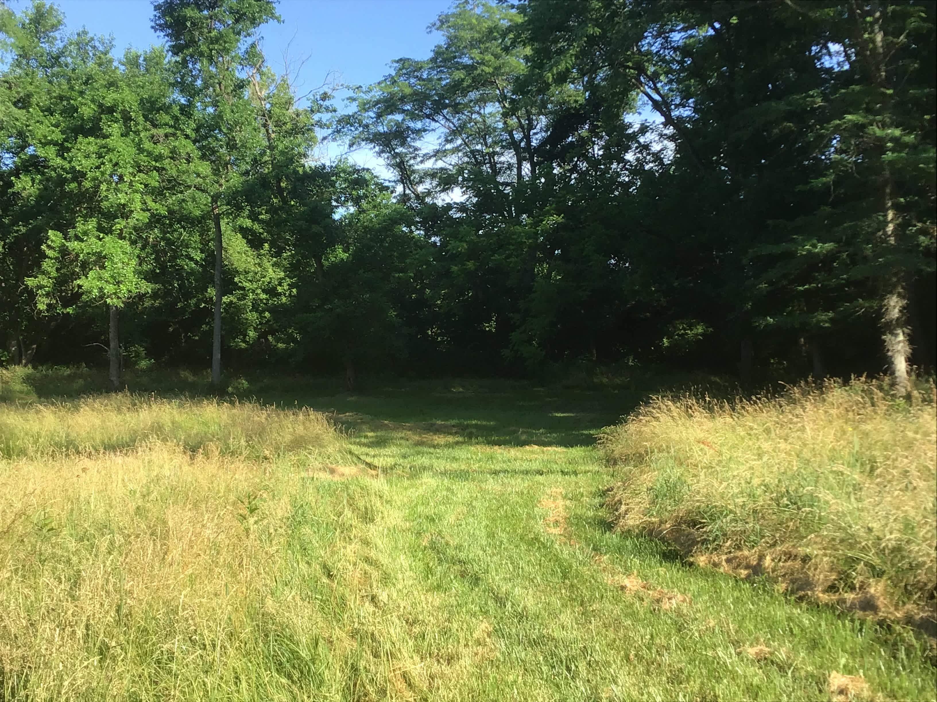 Little Darby Outdoors