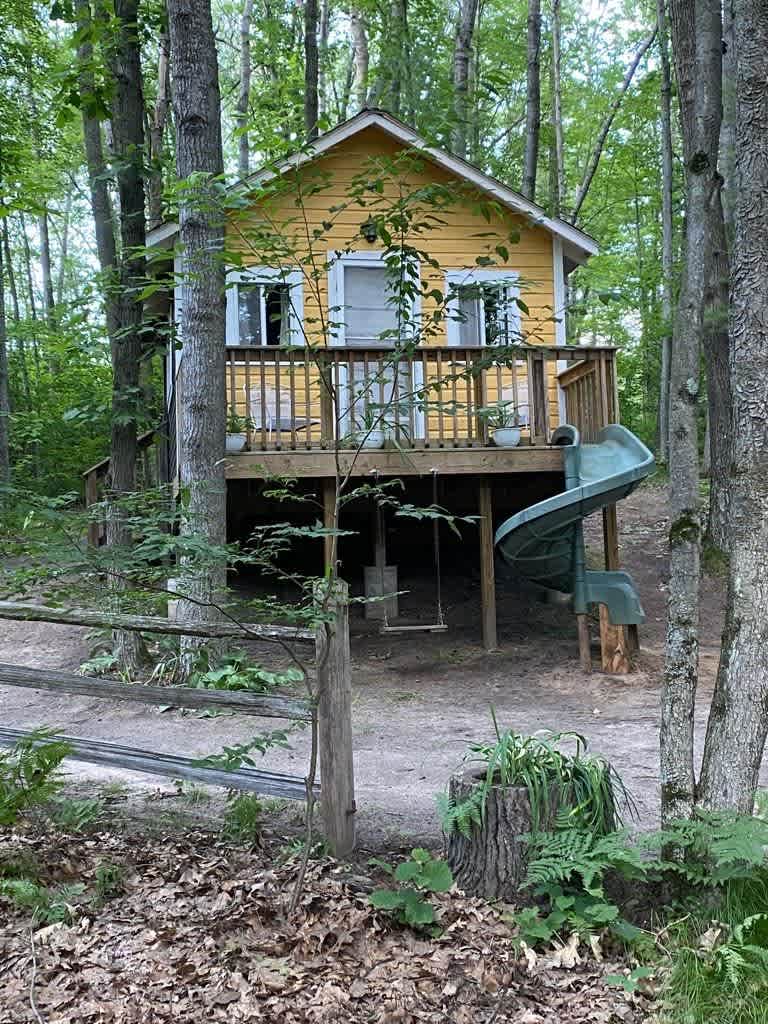 The Tree House 