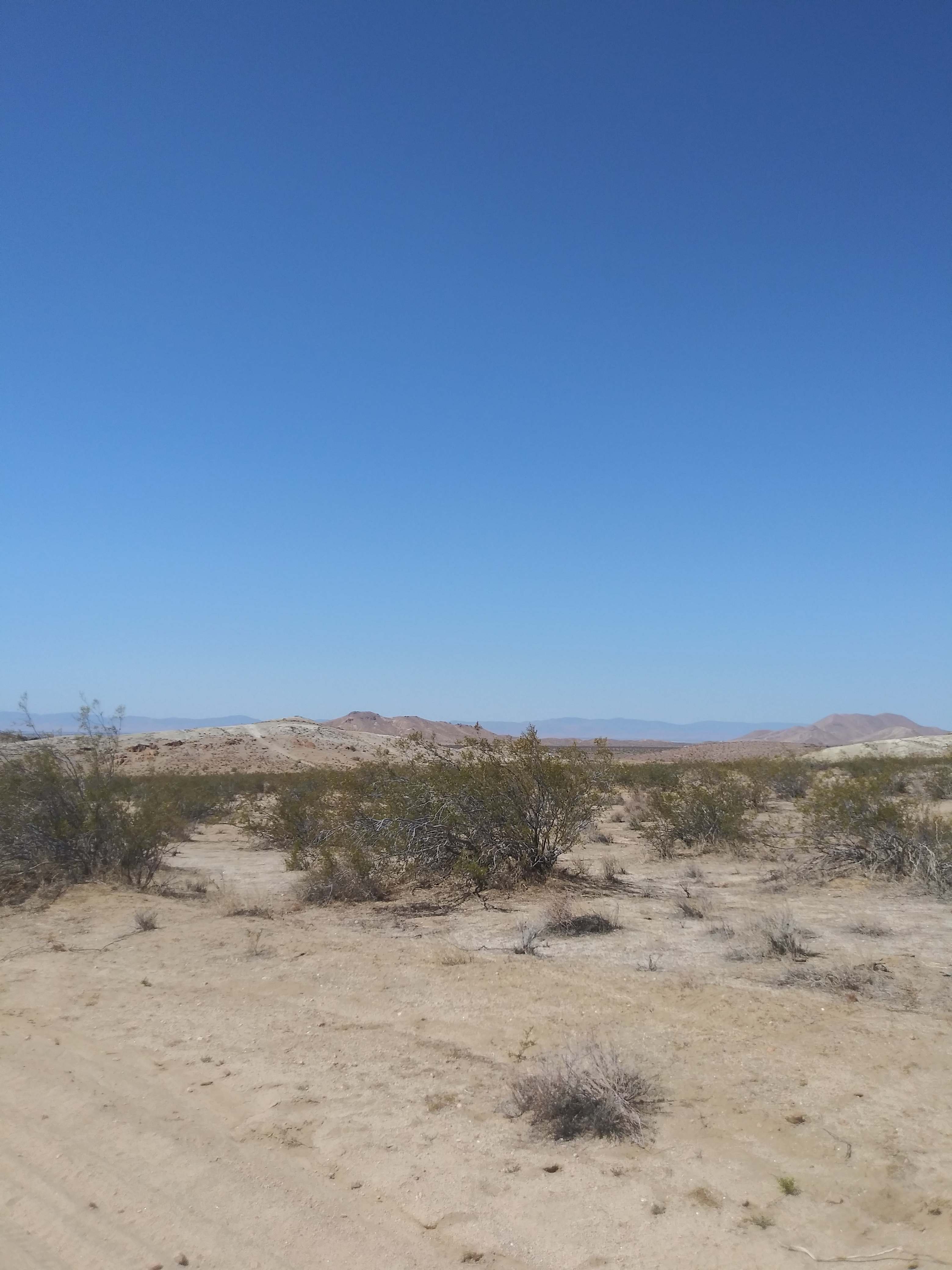 The Ki Ranch