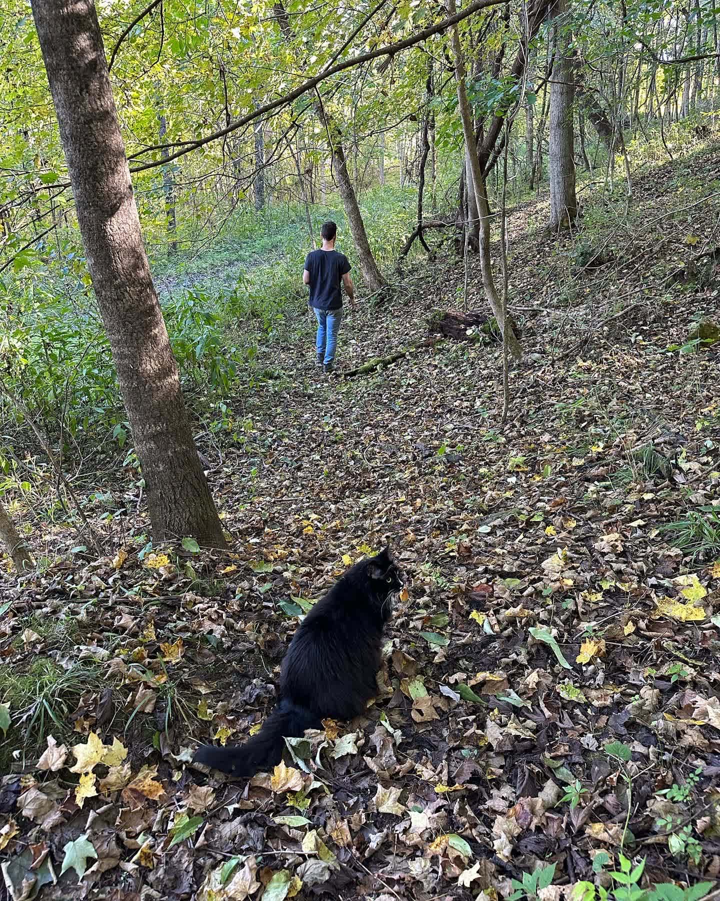 Part of our trail. Our cabin cat Leo is not on the property full time. He lives with us! 