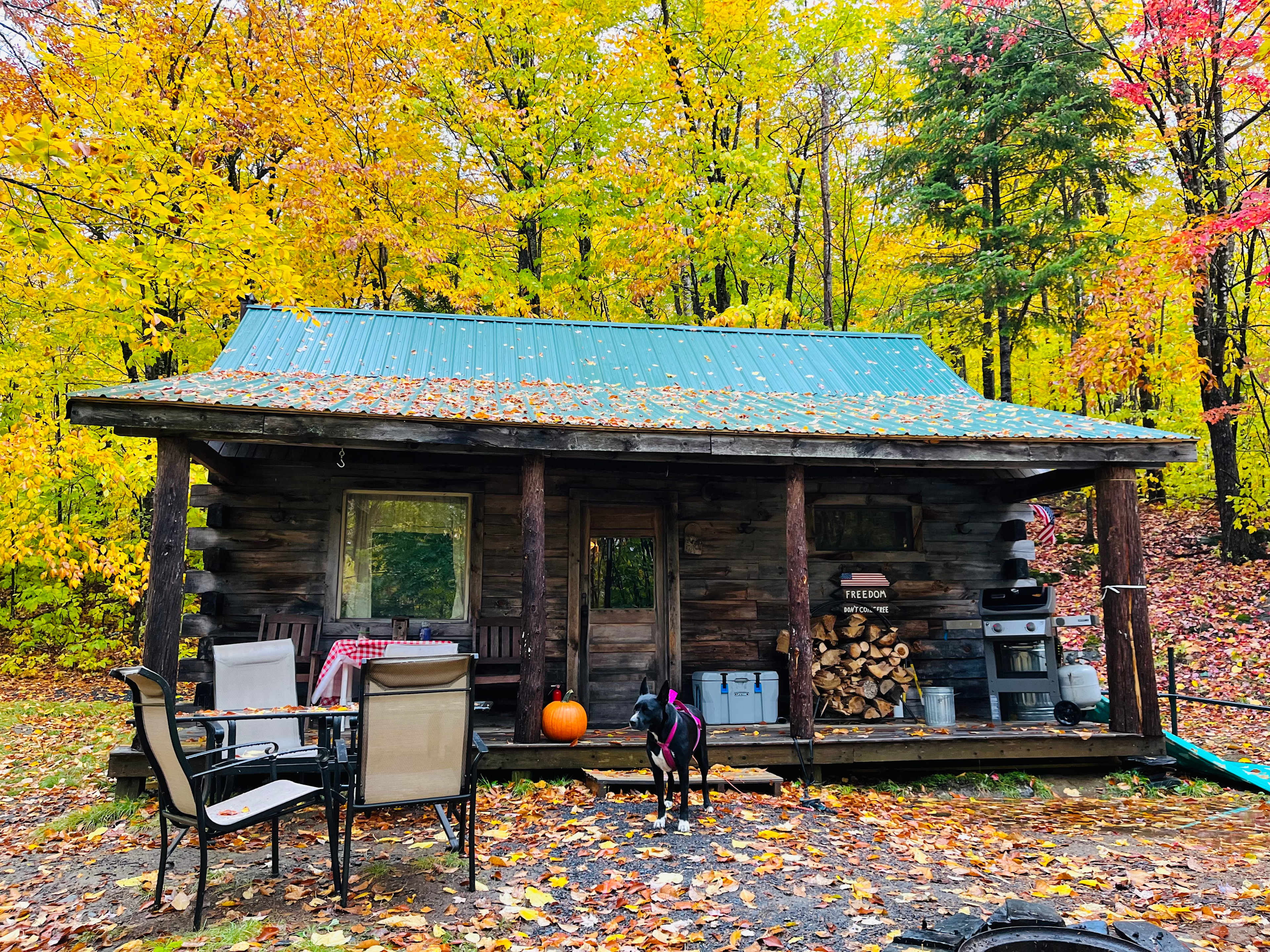 100 Mile Wilderness Cabin