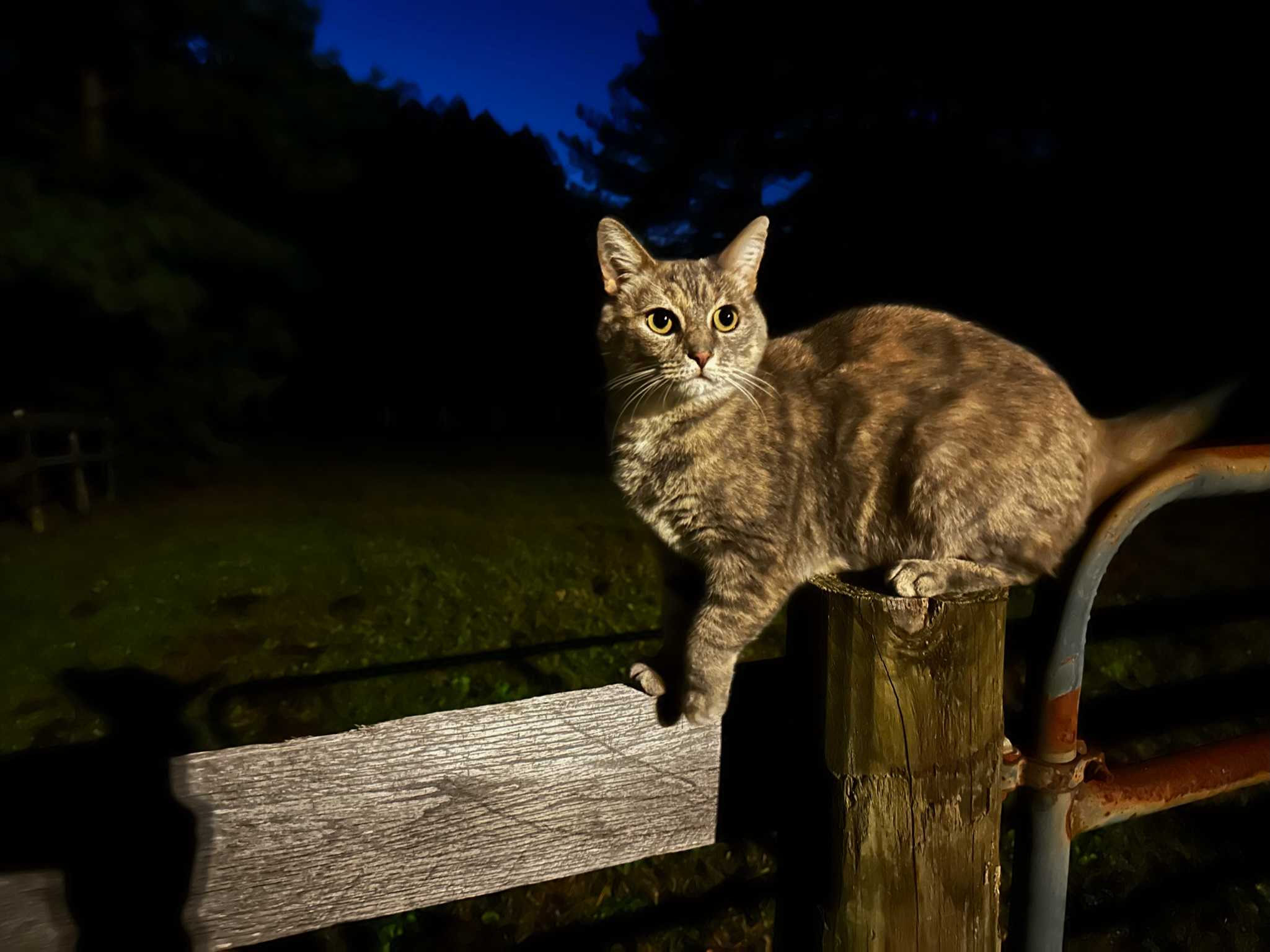 Rocky Run Farm