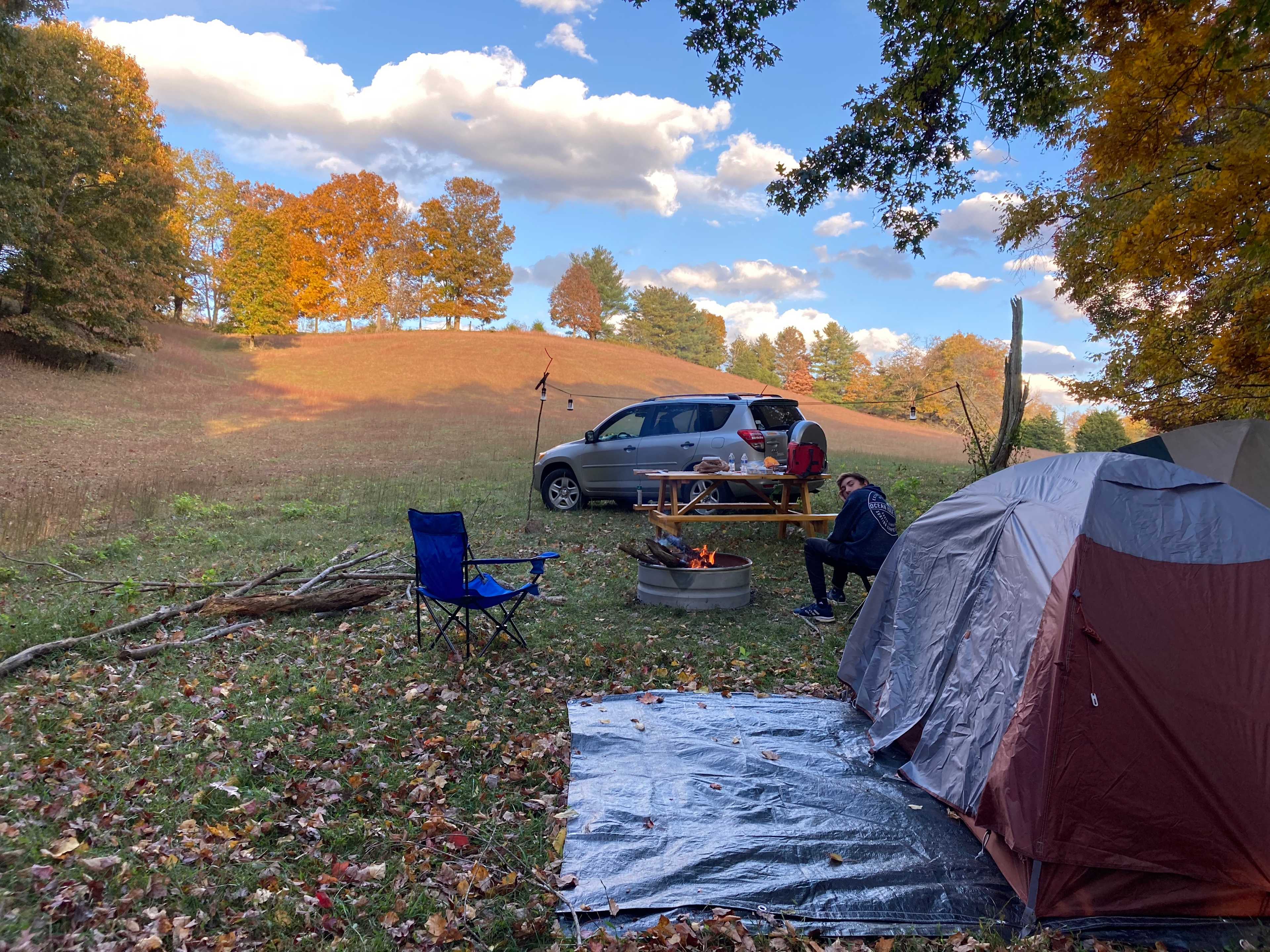 Picture of the site