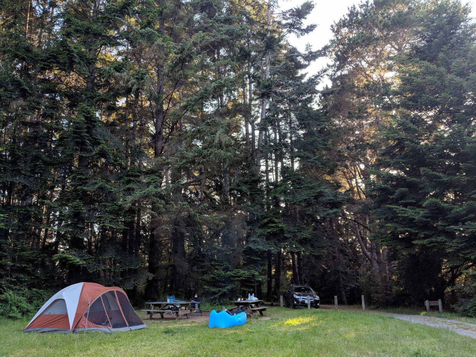 Picture of the site