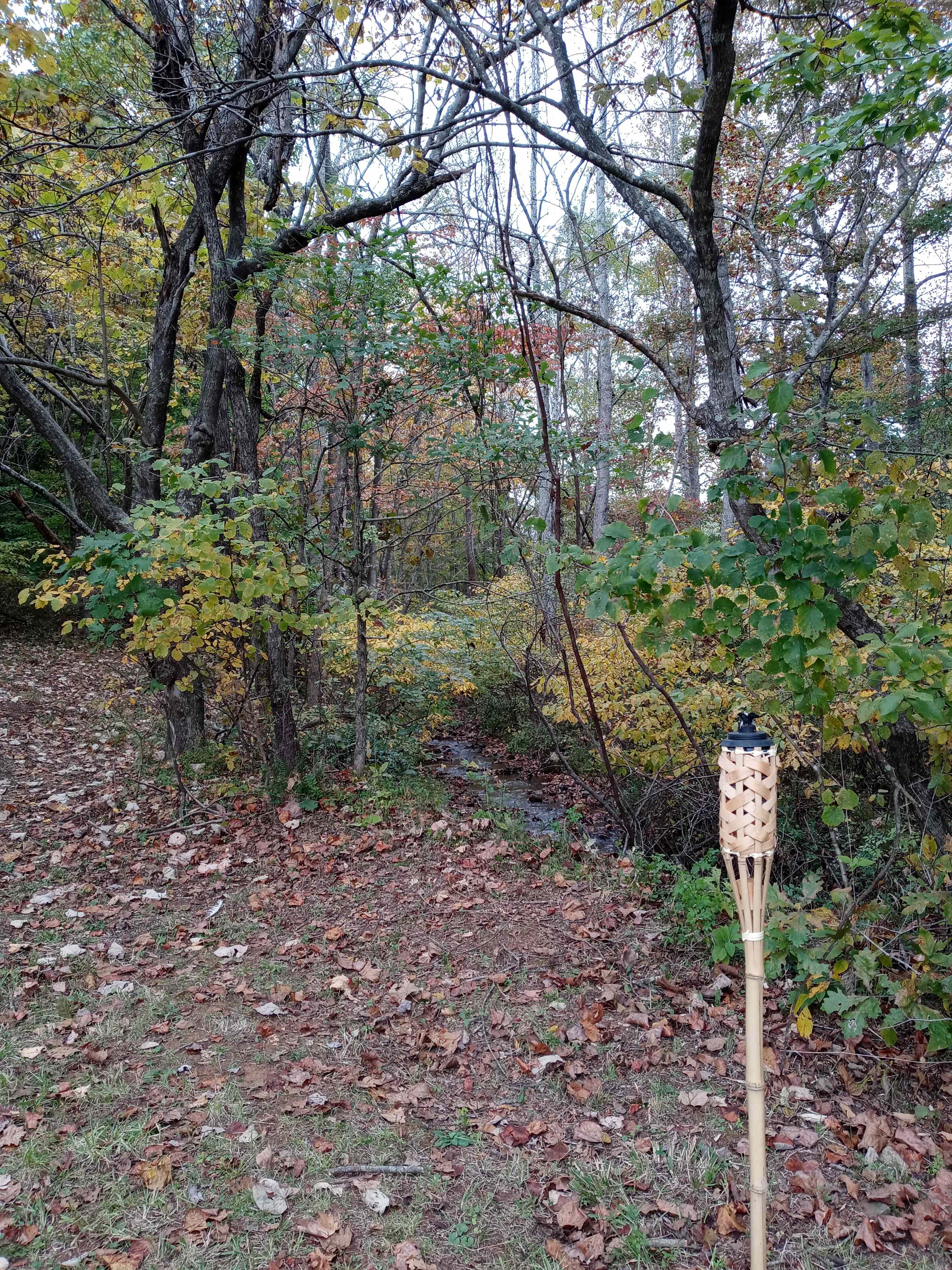Full tiki torch looking towards the stream near the cow pasture. 