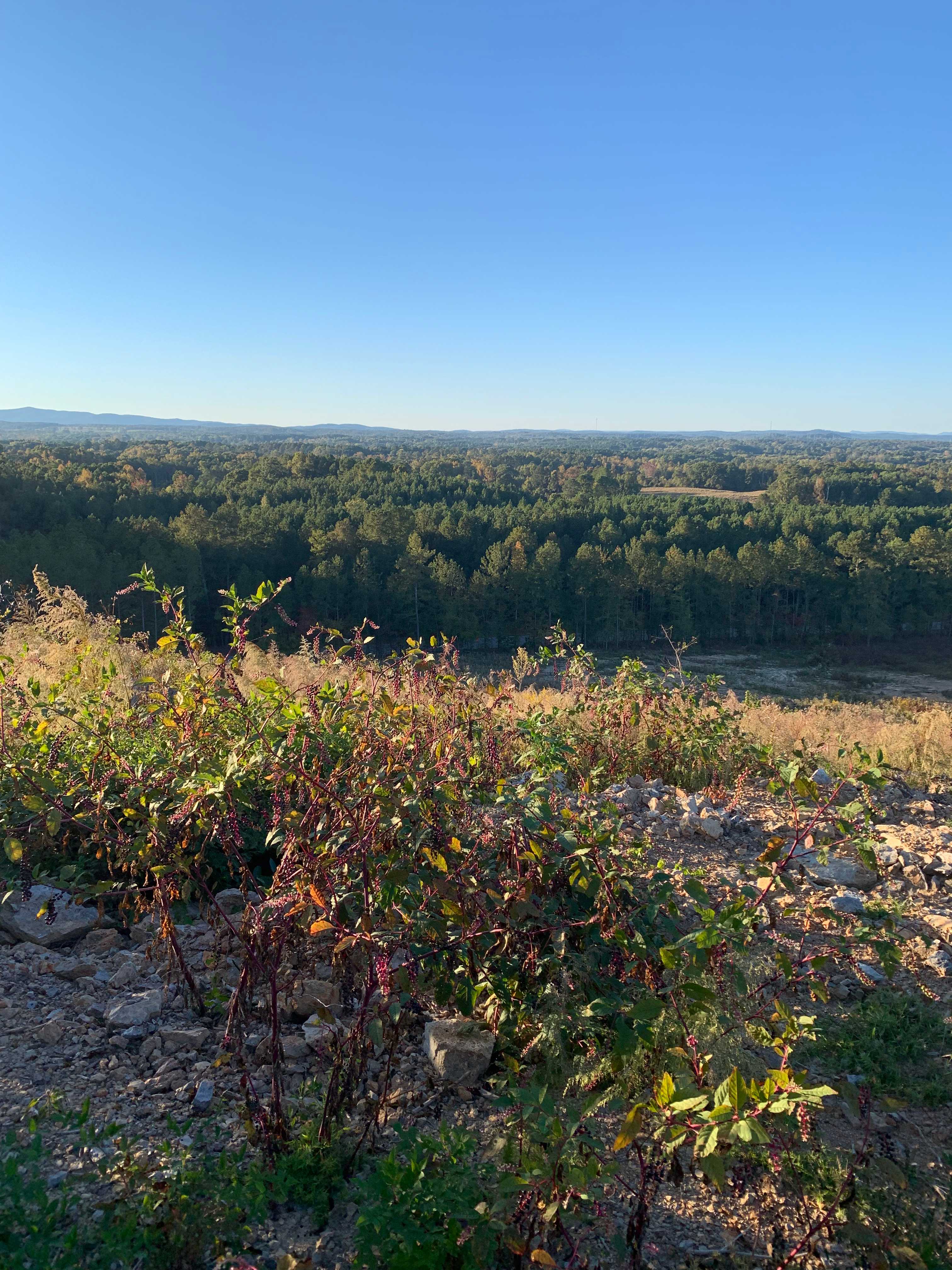 Appalachian Foothills Farm