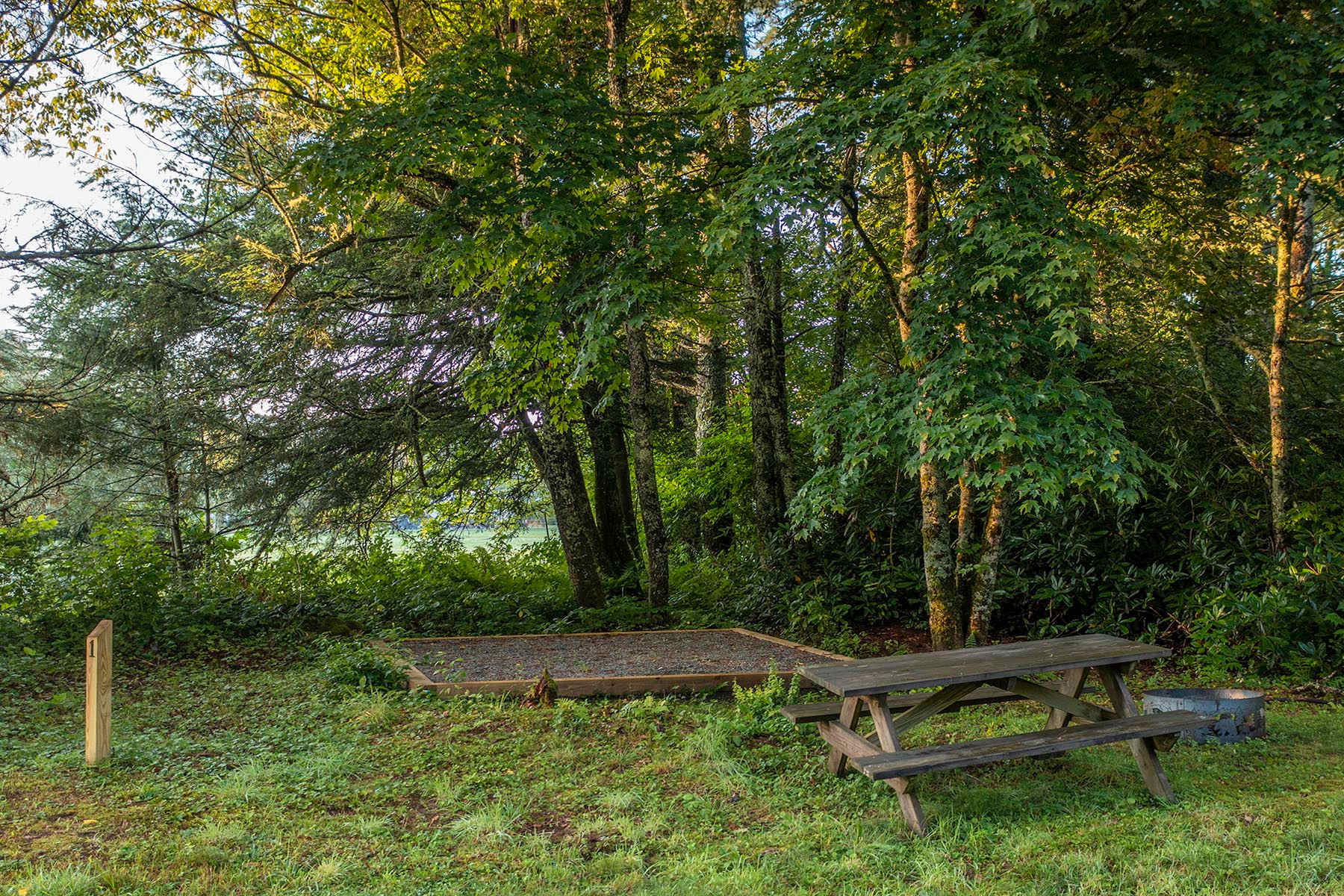 Picture of the site