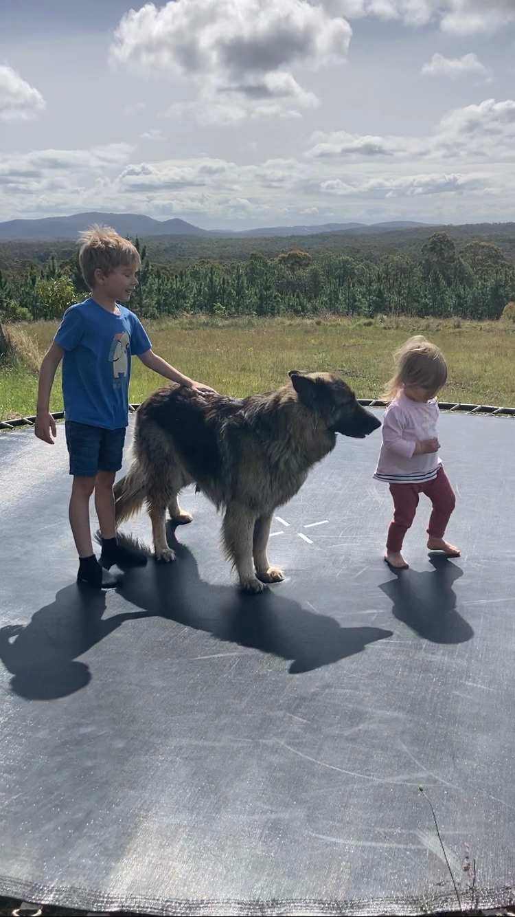 Fame Mountain Camp - pets welcome