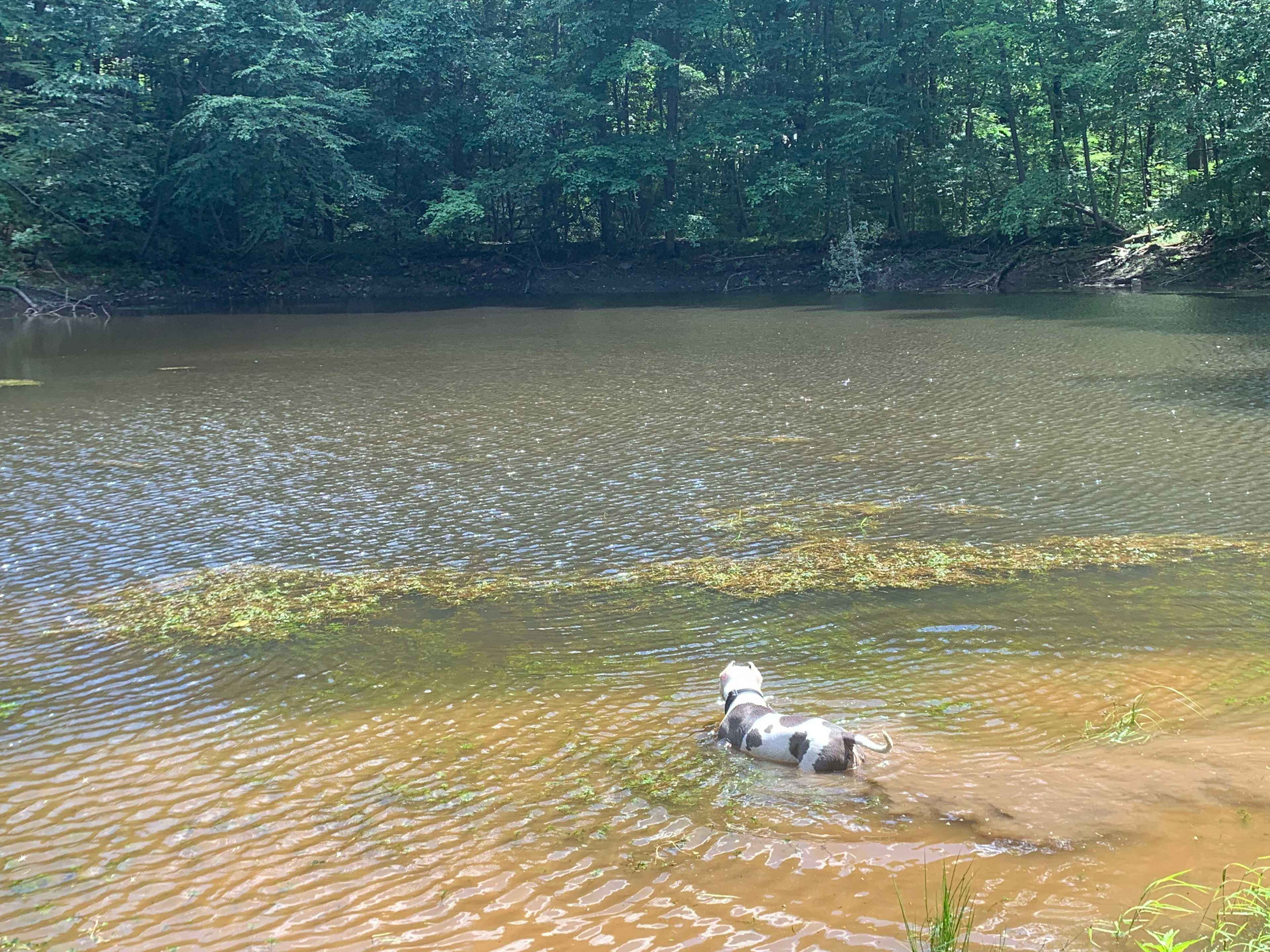 PRIVATE LAKE ON PROPERTY