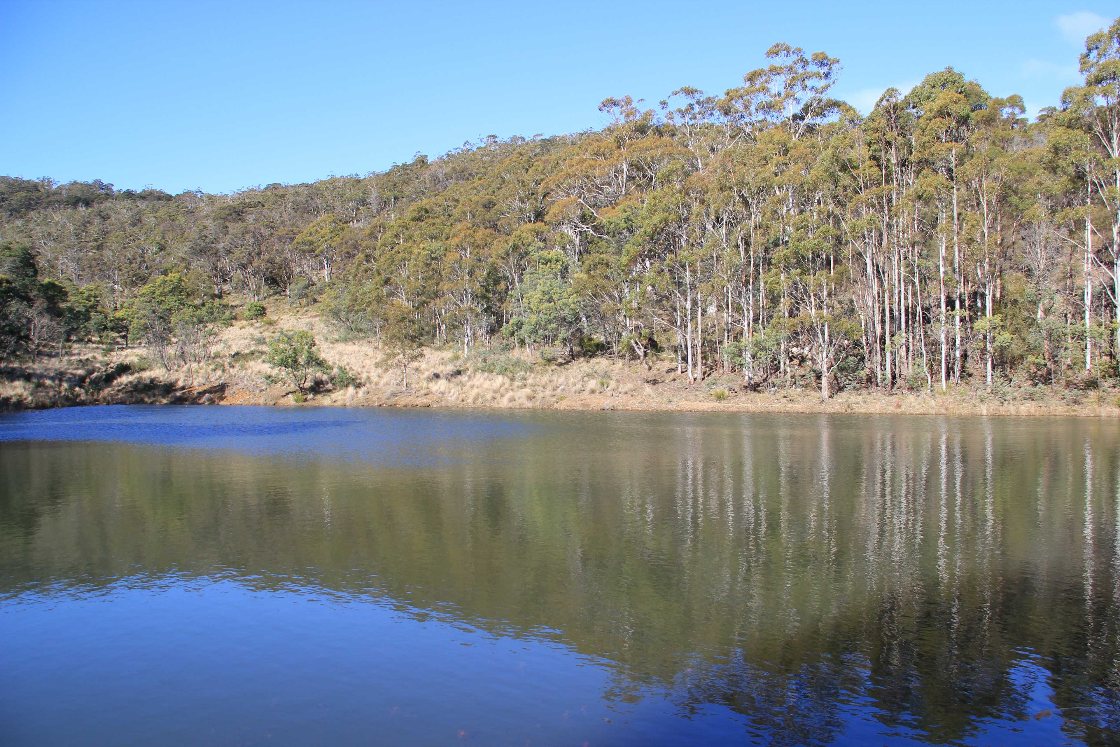 Canoe Polo Dam (yes, when the local team doesn't play, it's a beaut swim spot!)