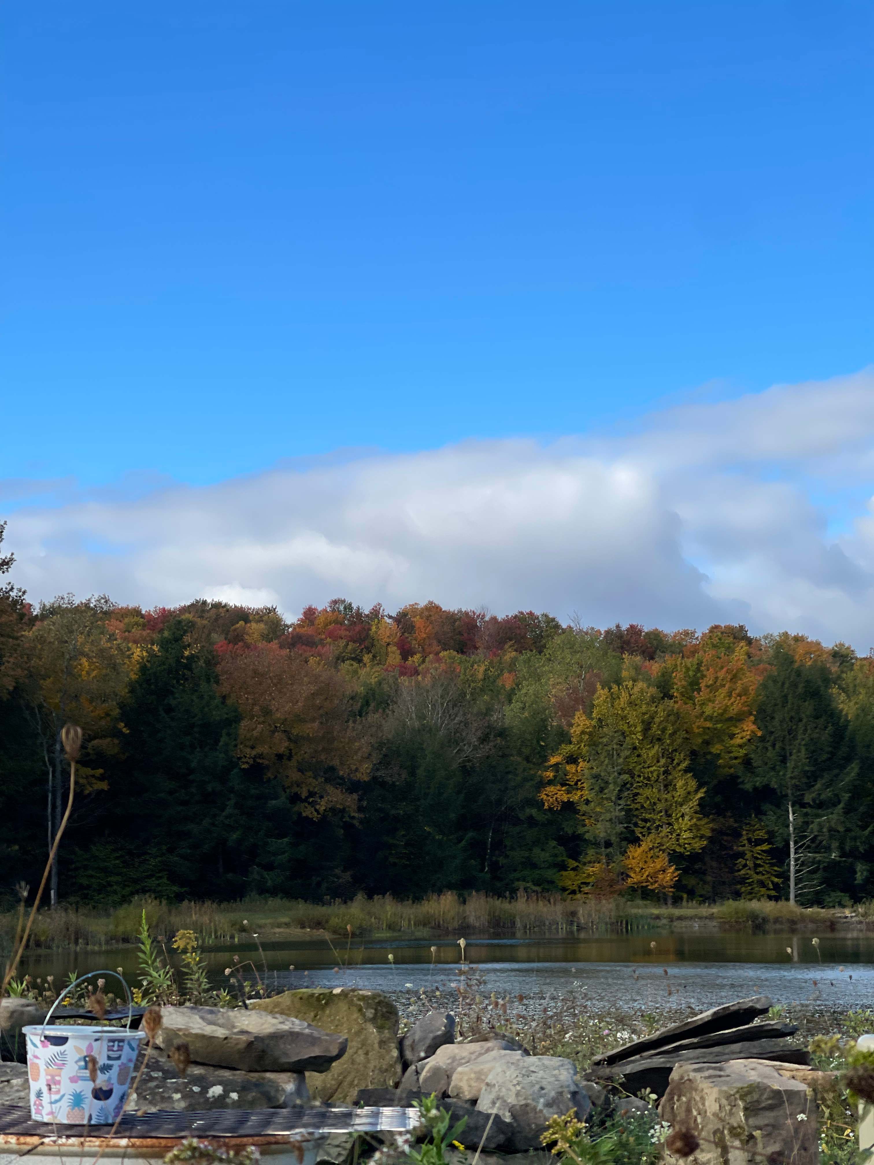 The Brown Farm in Greene