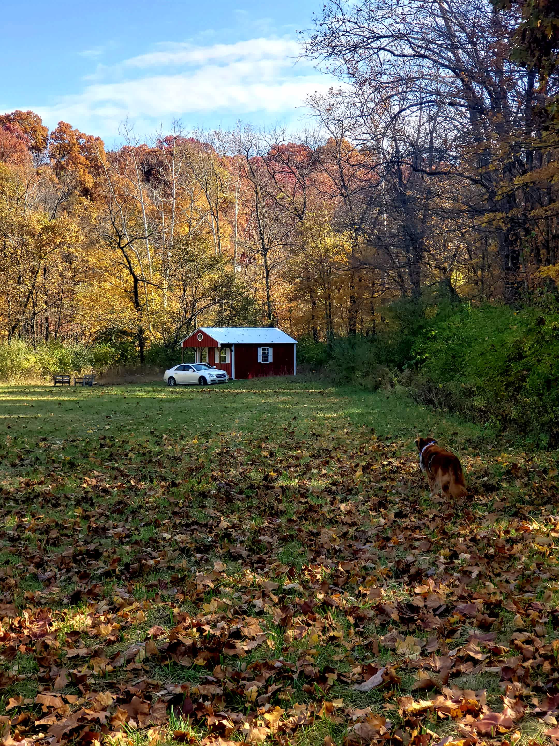 Coop Dreams Farm